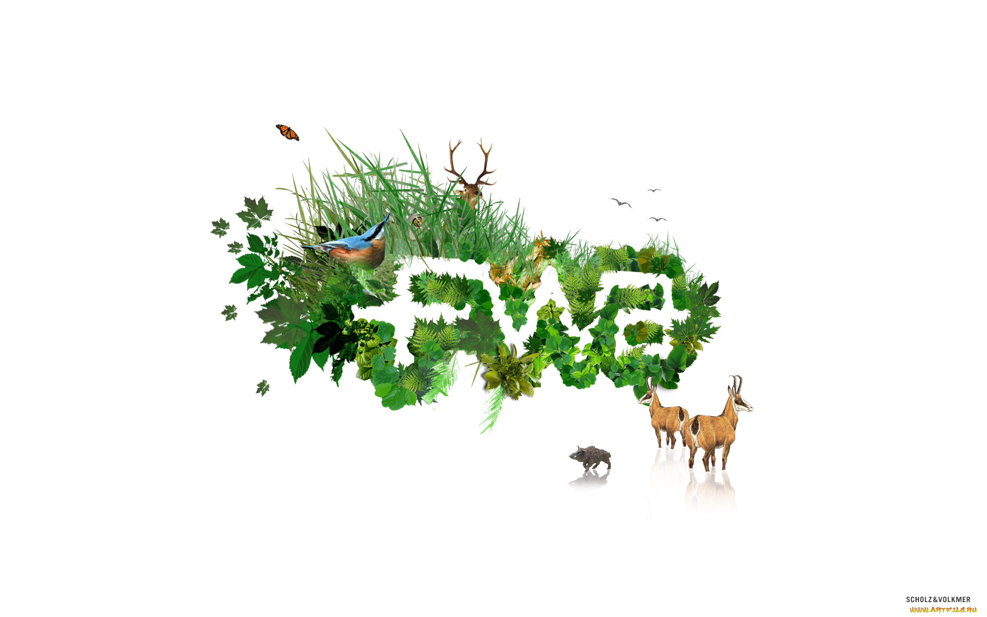 векторная, графика