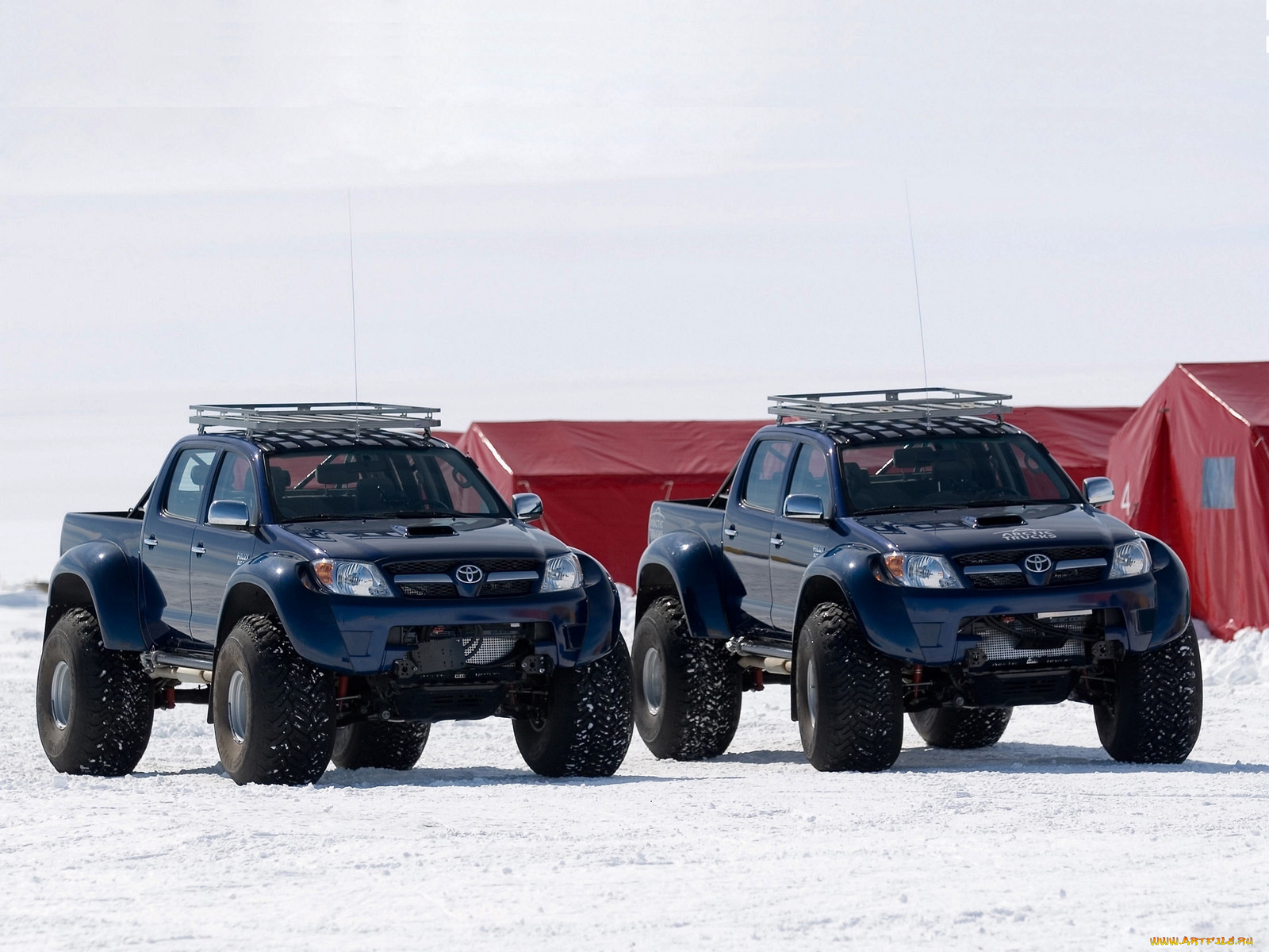 автомобили, toyota