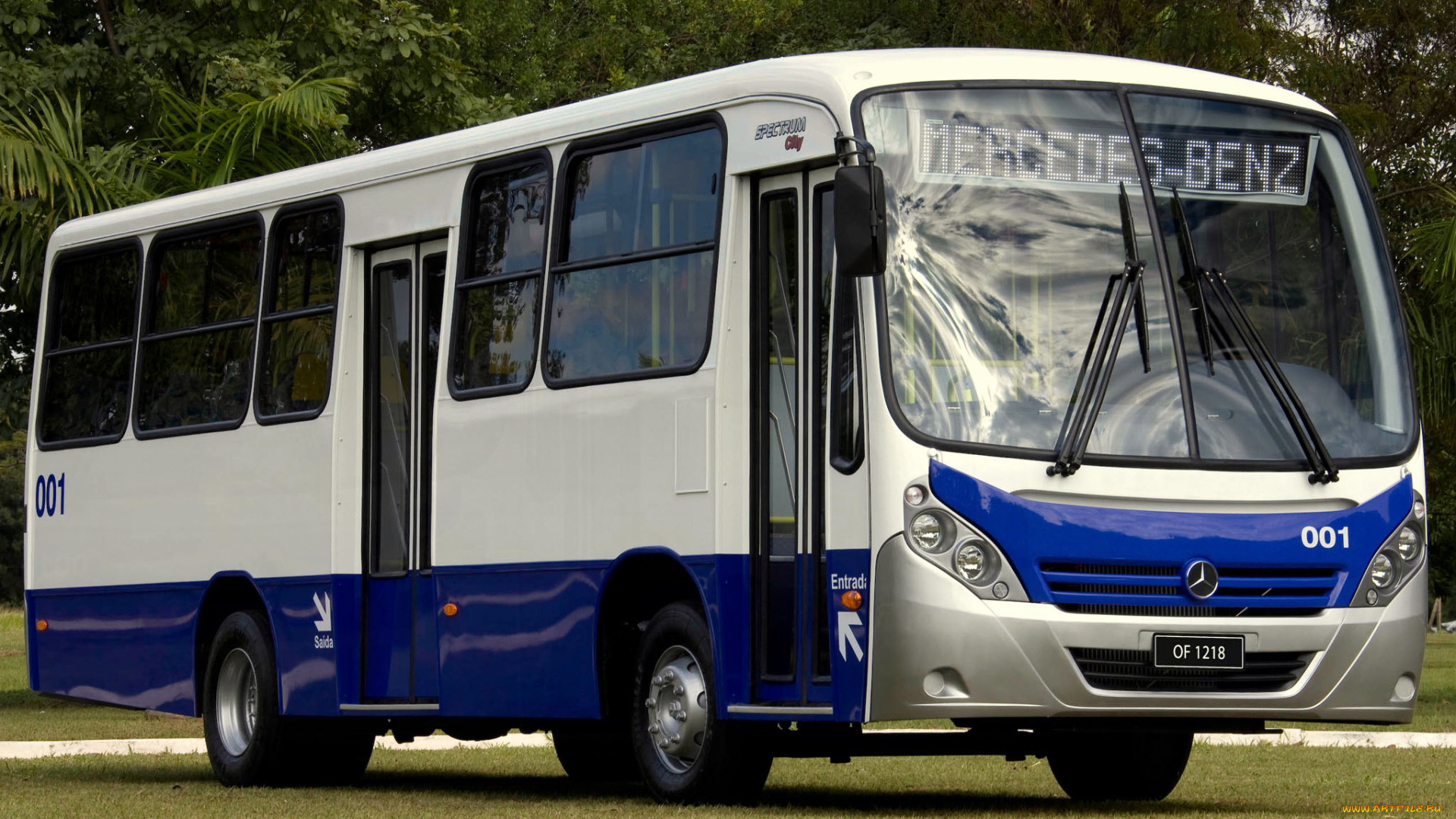 автомобили, автобусы