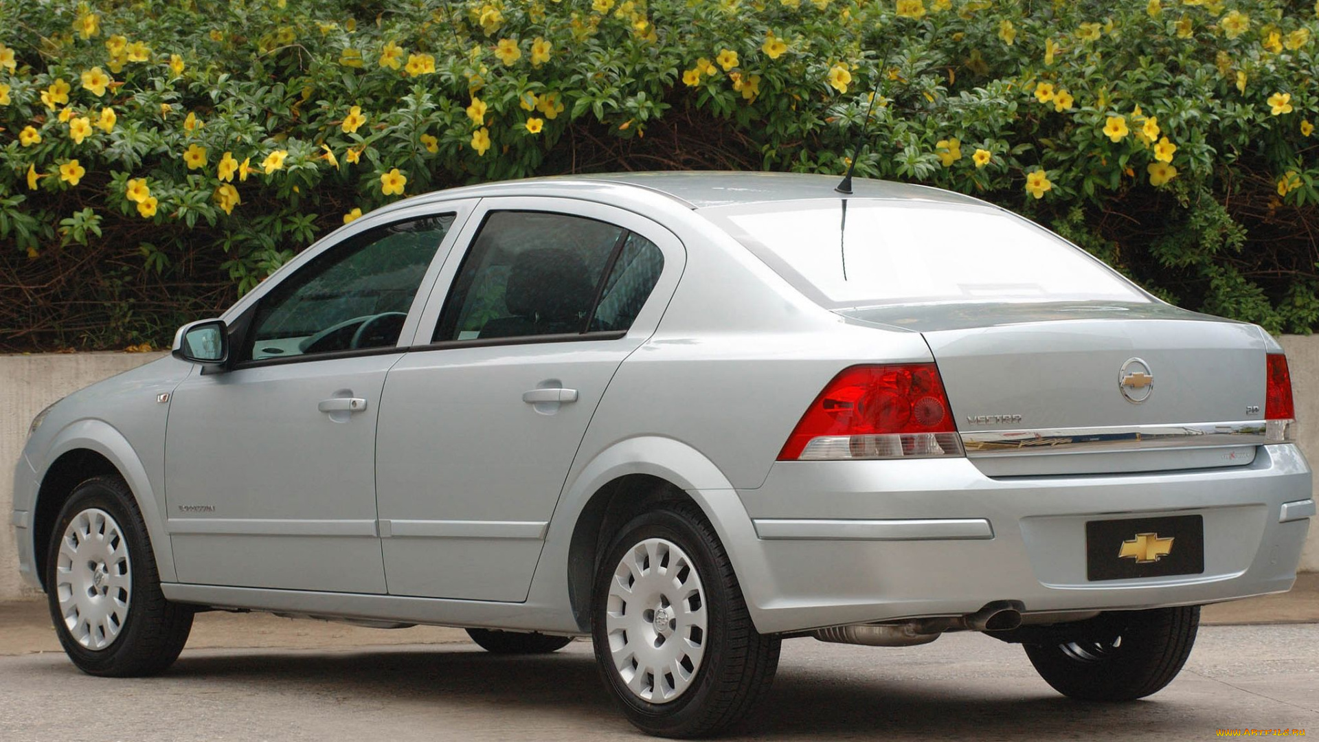 автомобили, chevrolet