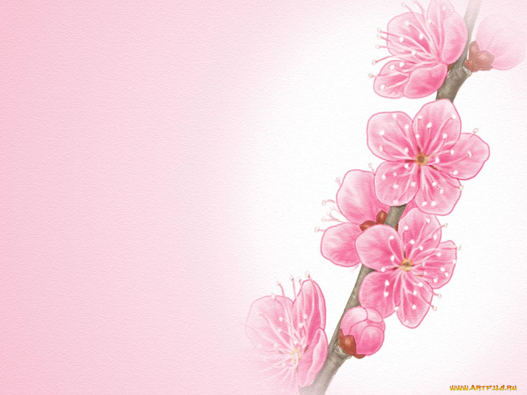 рисованные, цветы