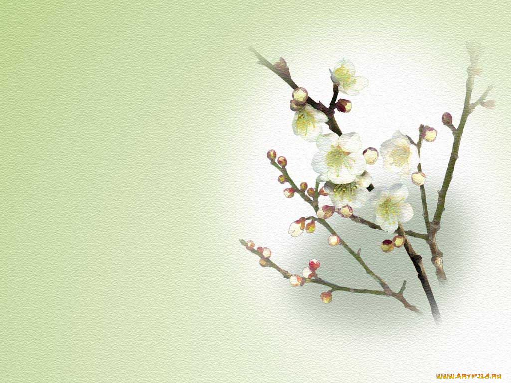 рисованные, цветы