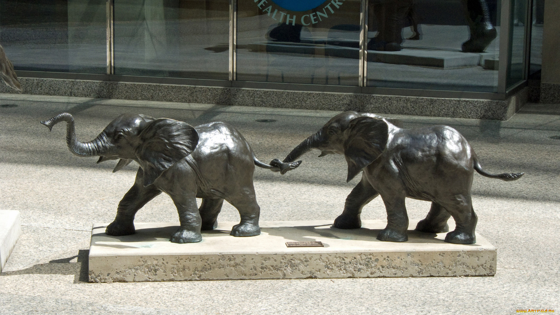 города, памятники, скульптуры, арт, объекты, слонята, фигурки