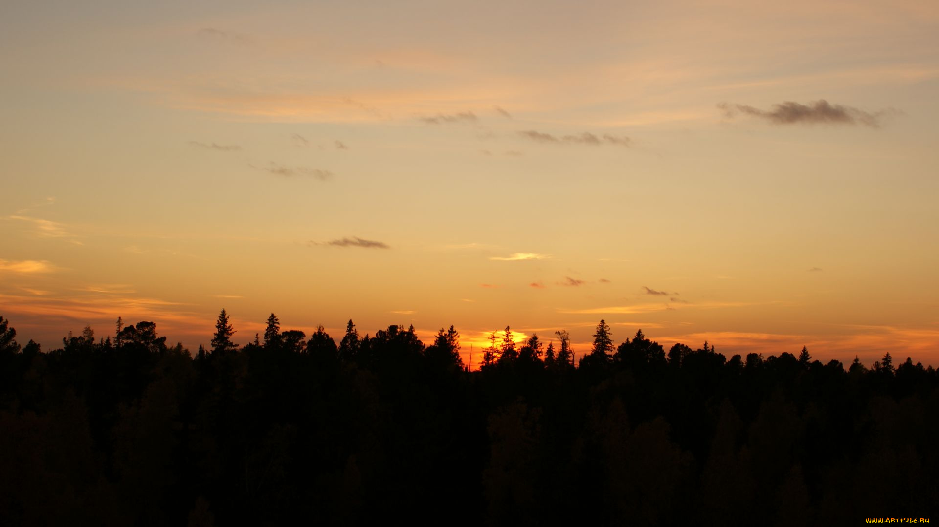 закат, природа, восходы, закаты, облака, нижневартовск, лес
