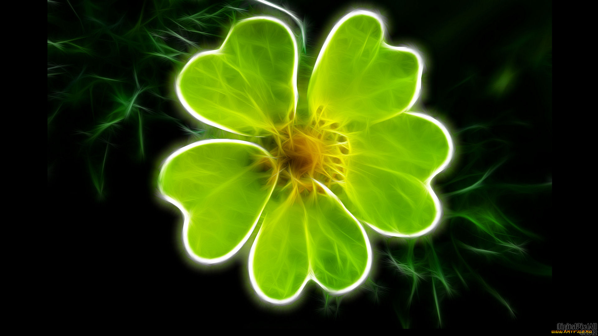 3д, графика, flowers, цветы, лепестки