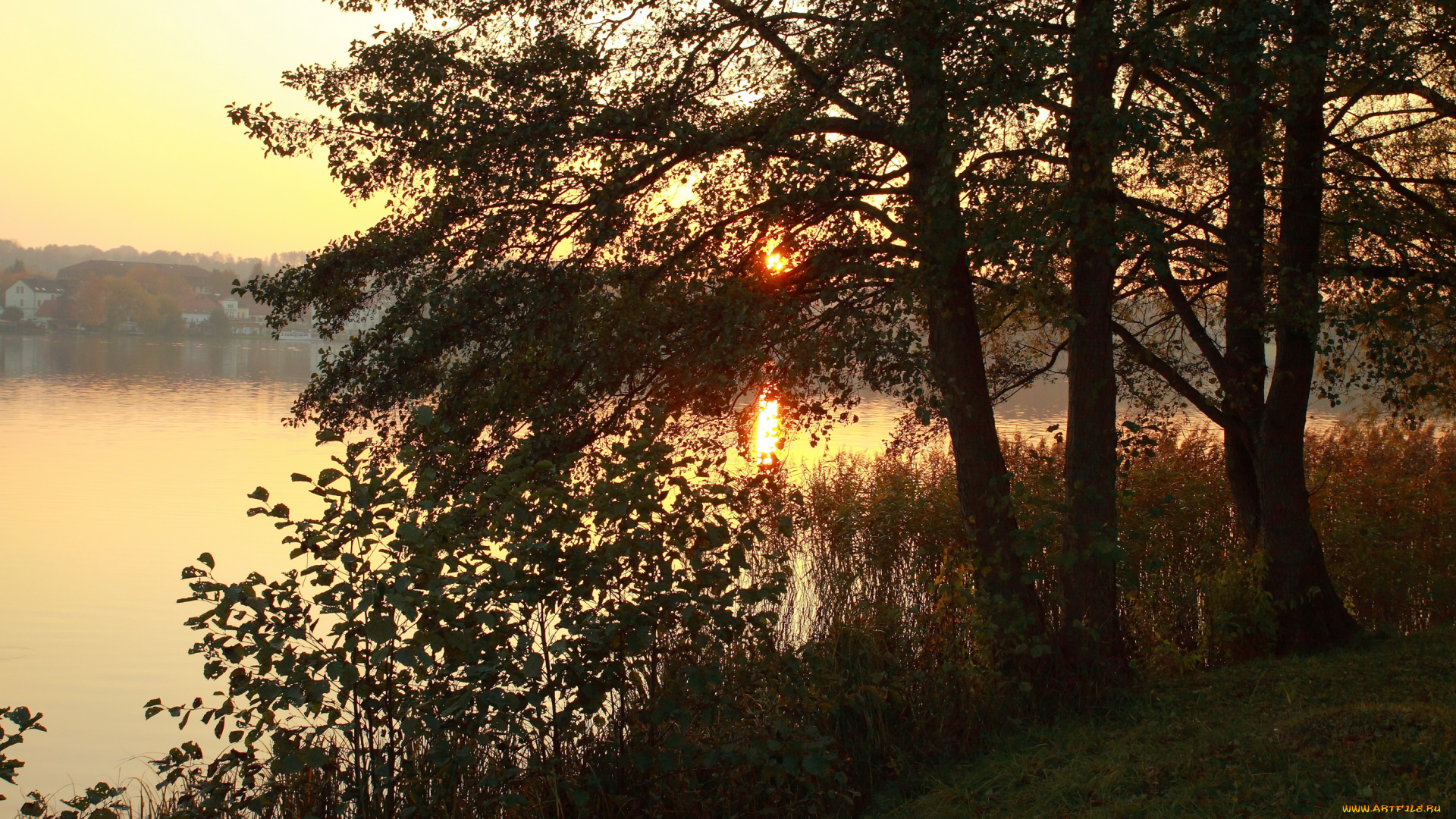 германия, фельдбергер, природа, реки, озера, река, деревья