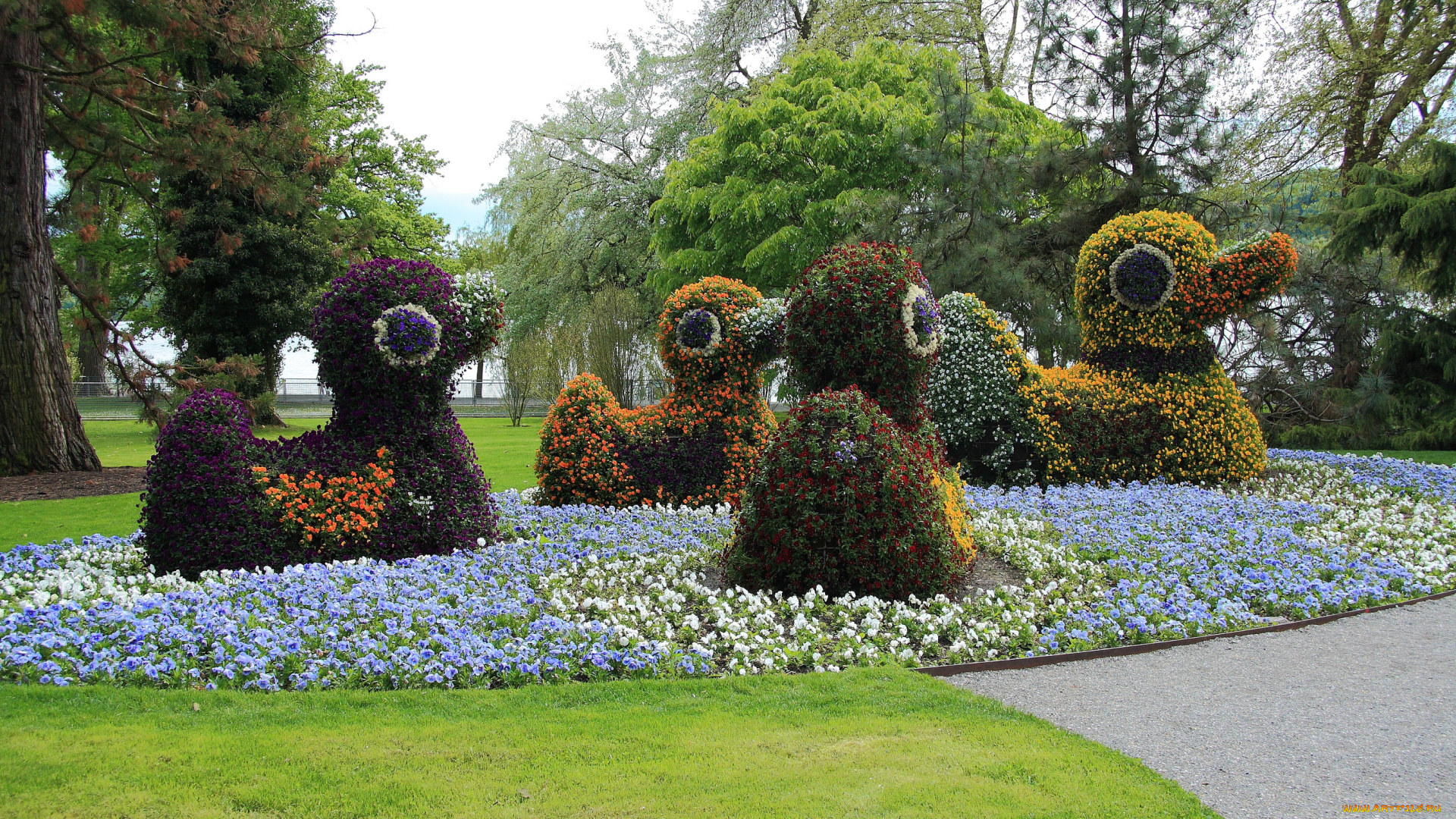 германия, остров, mainau, природа, парк, цветники