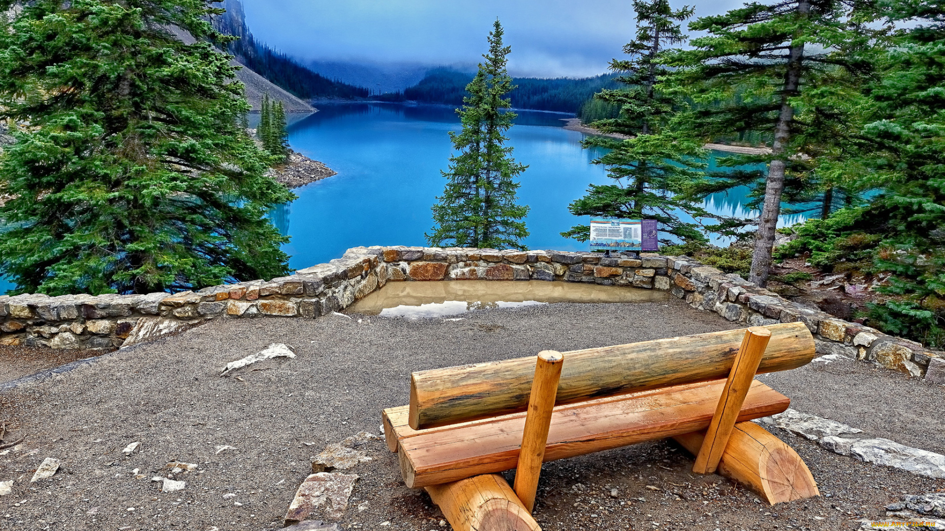 moraine, lake, banff, national, park, canada, природа, реки, озера, озеро, морейн, канада, банф, скамейка, ели, пейзаж