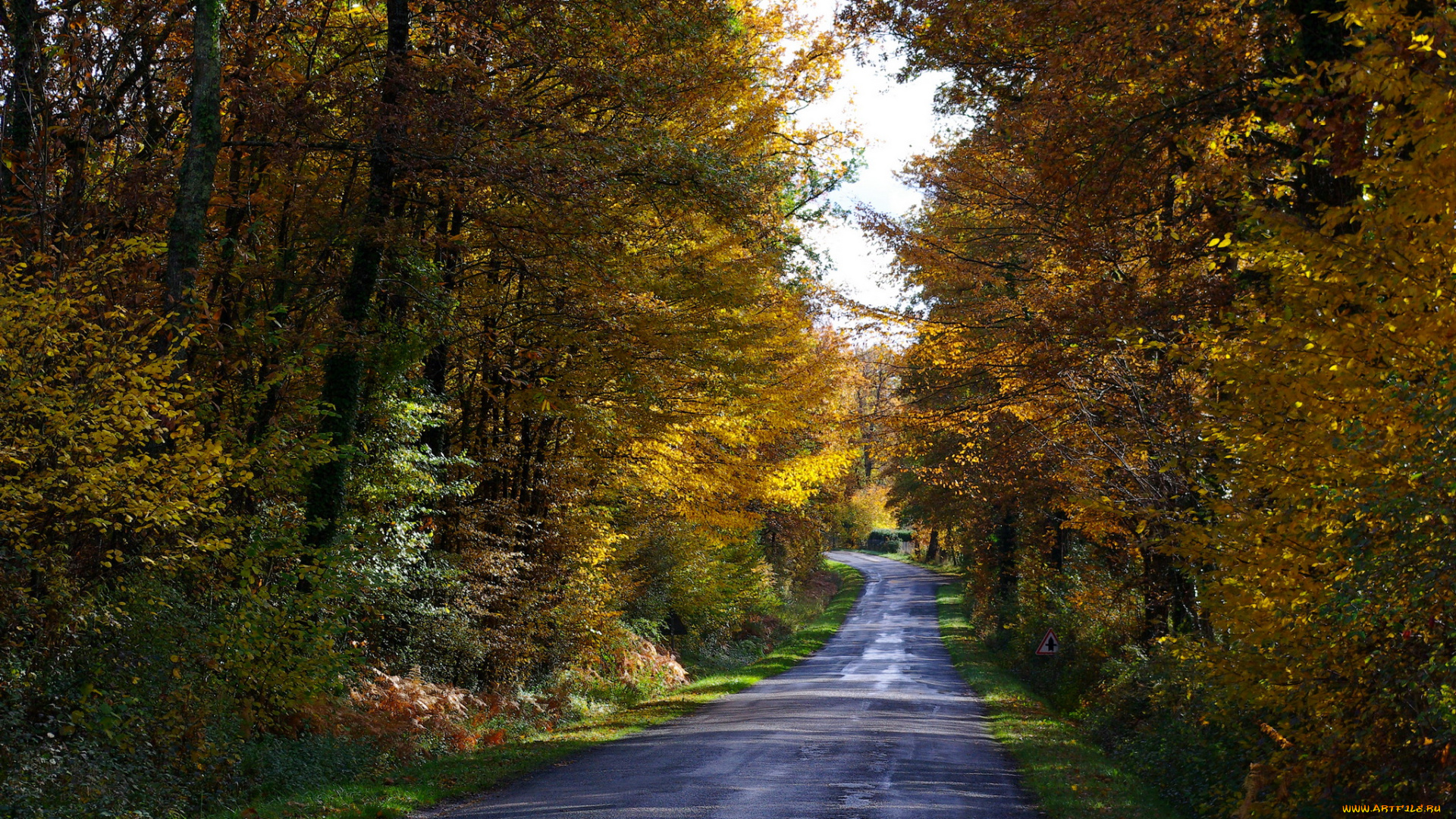 природа, дороги, дорога, лес, осень