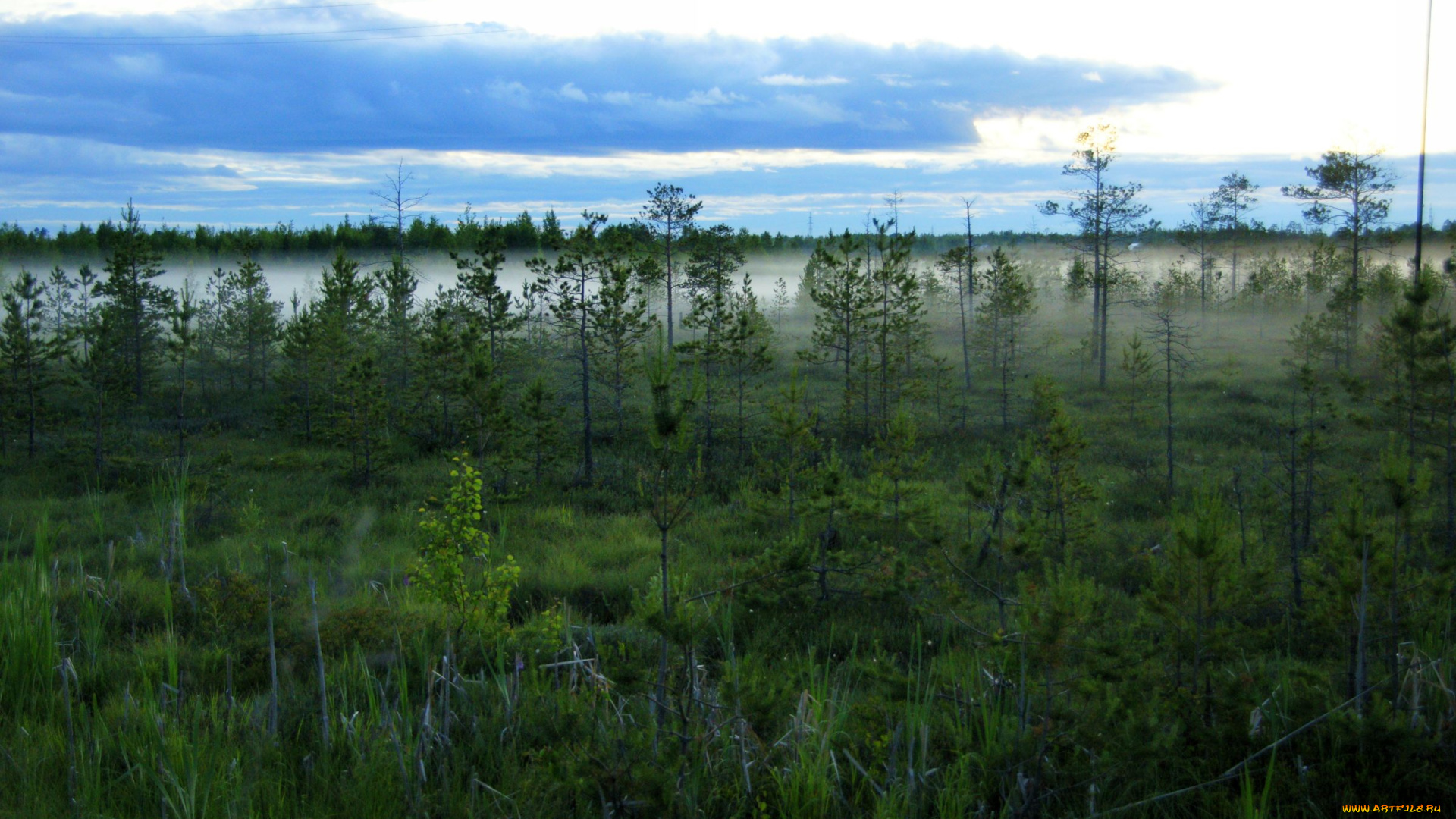 природа, нижневартовска, деревья, отражение, небо, болото, туман, нижневартовск