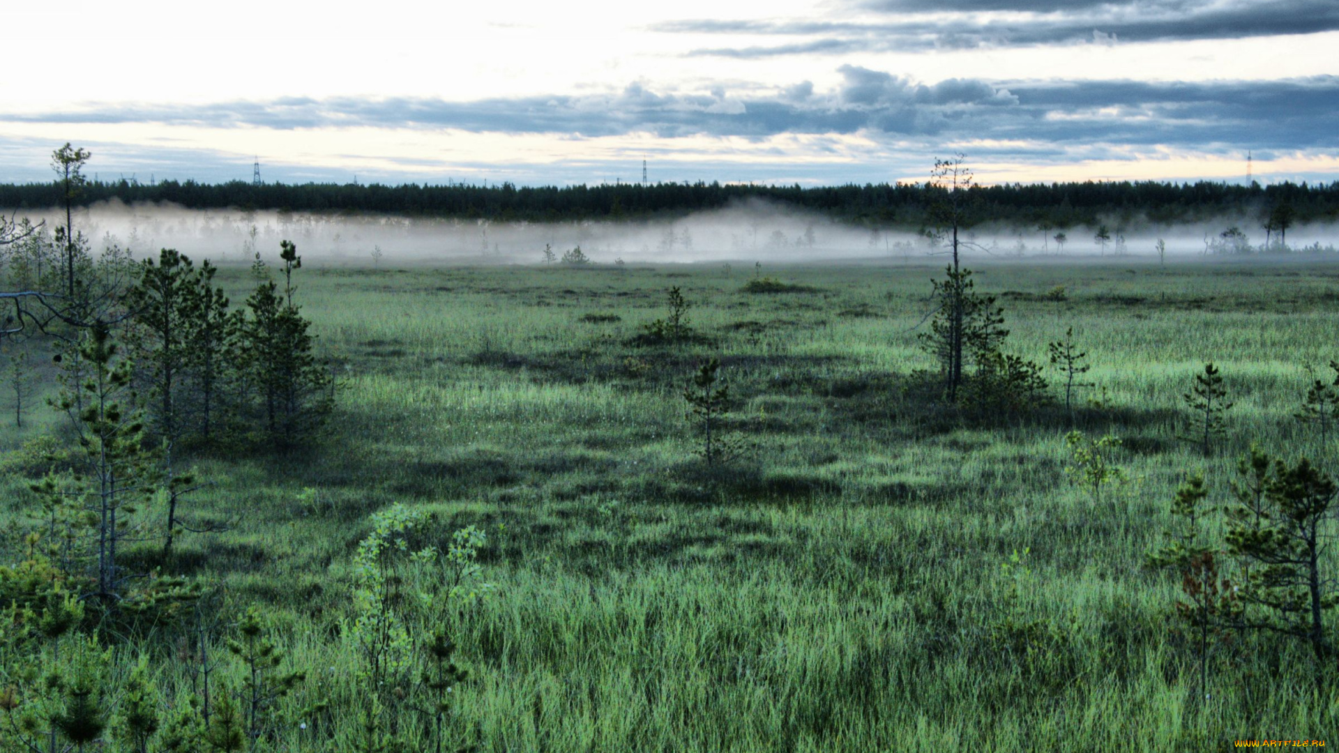 природа, нижневартовска, другое, туман, болото, деревья, трава, нижневартовск