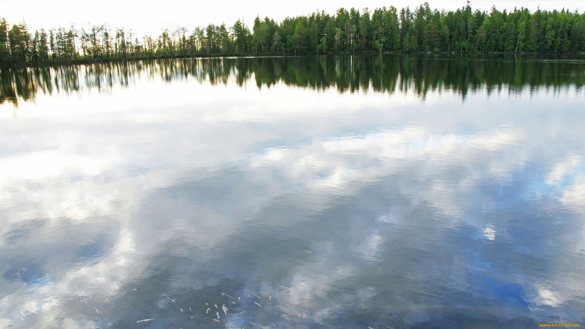 природа, нижневартовска, реки, озера, деревья, нижневартовск, озеро