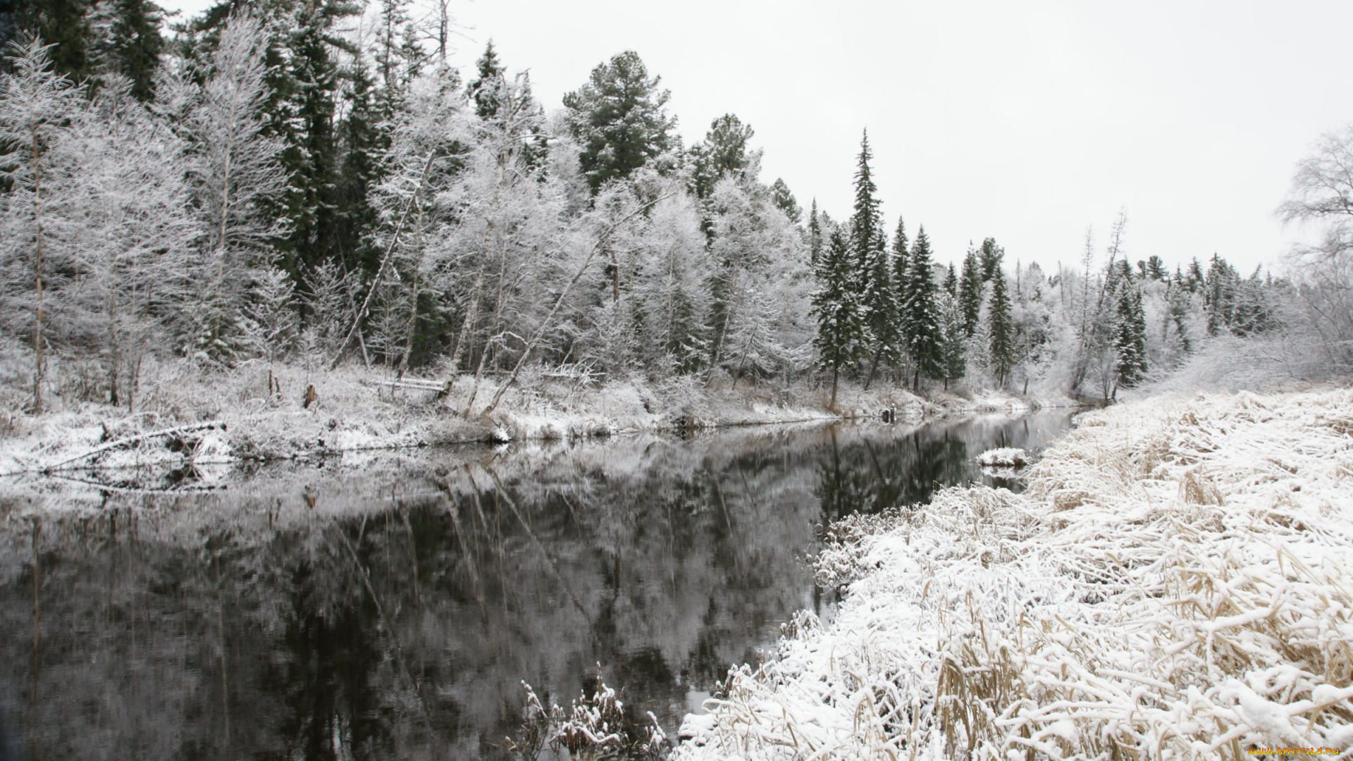 природа, нижневартовска, реки, озера, снег, река, деревья, зима, нижневартовск, лес