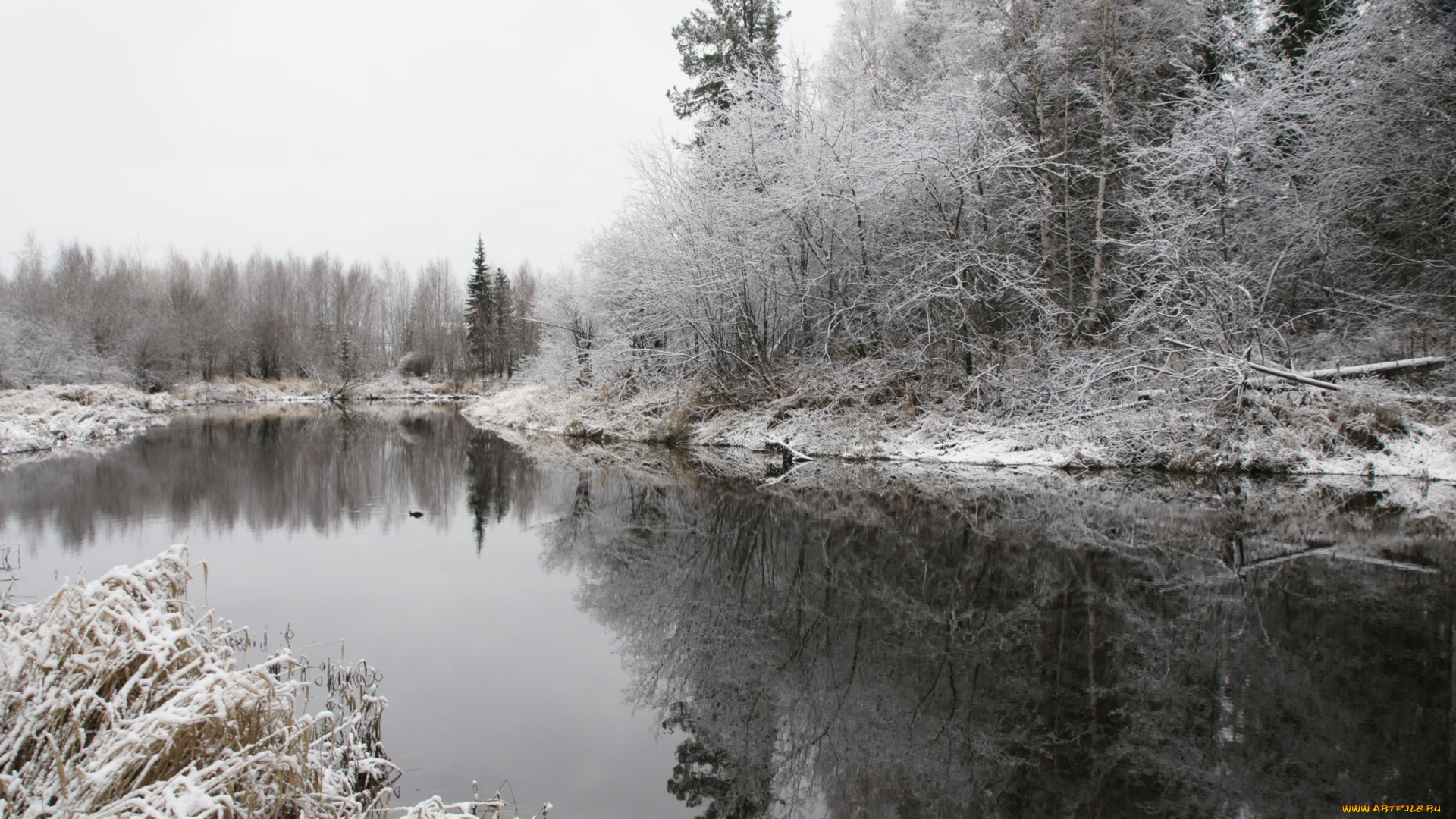 природа, нижневартовска, реки, озера, зима, снег, деревья, река, лес, нижневартовск