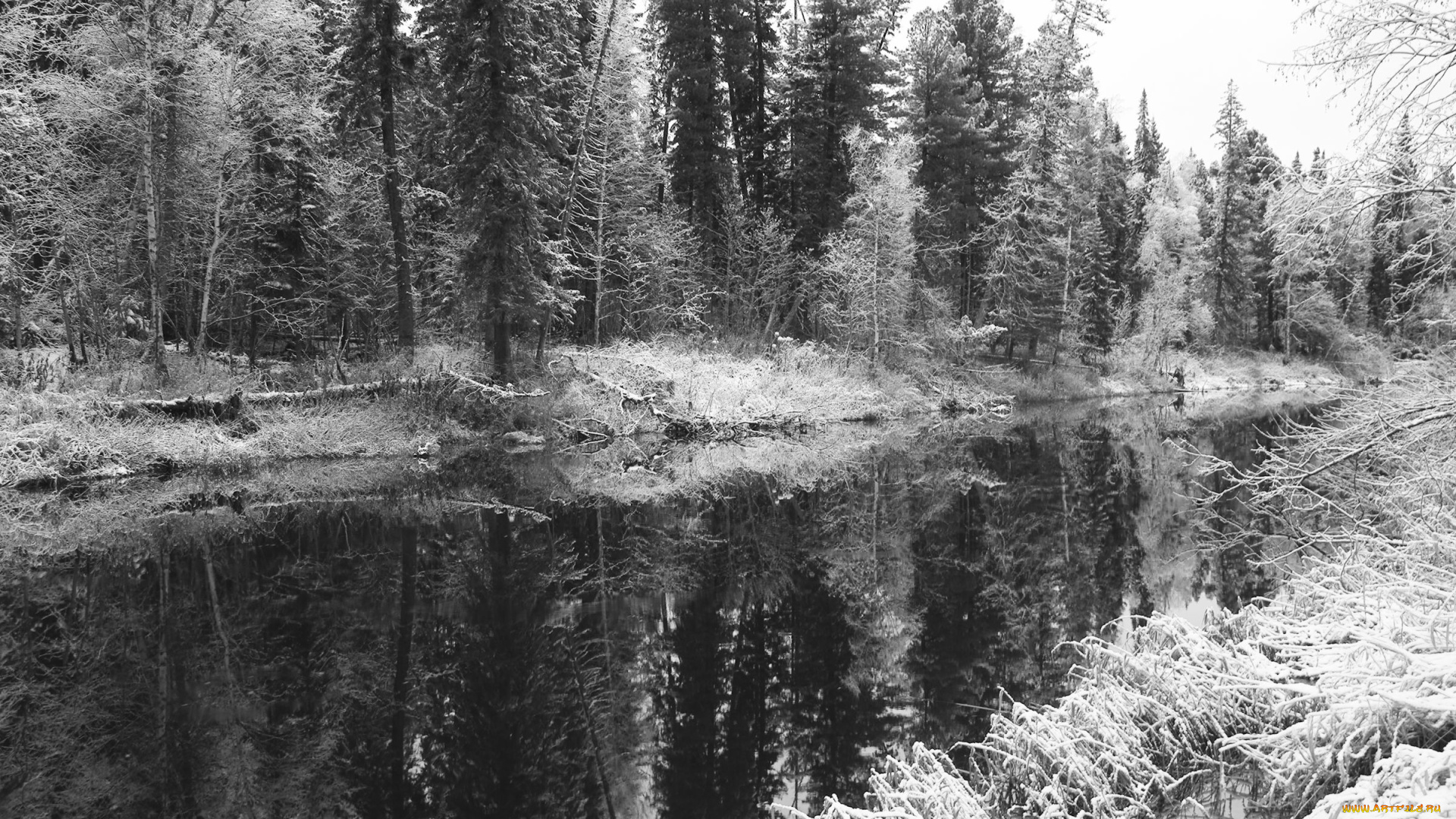 природа, нижневартовска, зима, снег, нижневартовск, лес, деревья, река