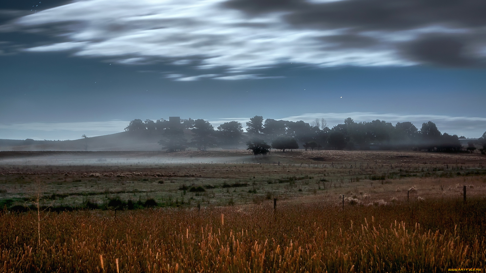 природа, поля, деревья, туман, луг, облака