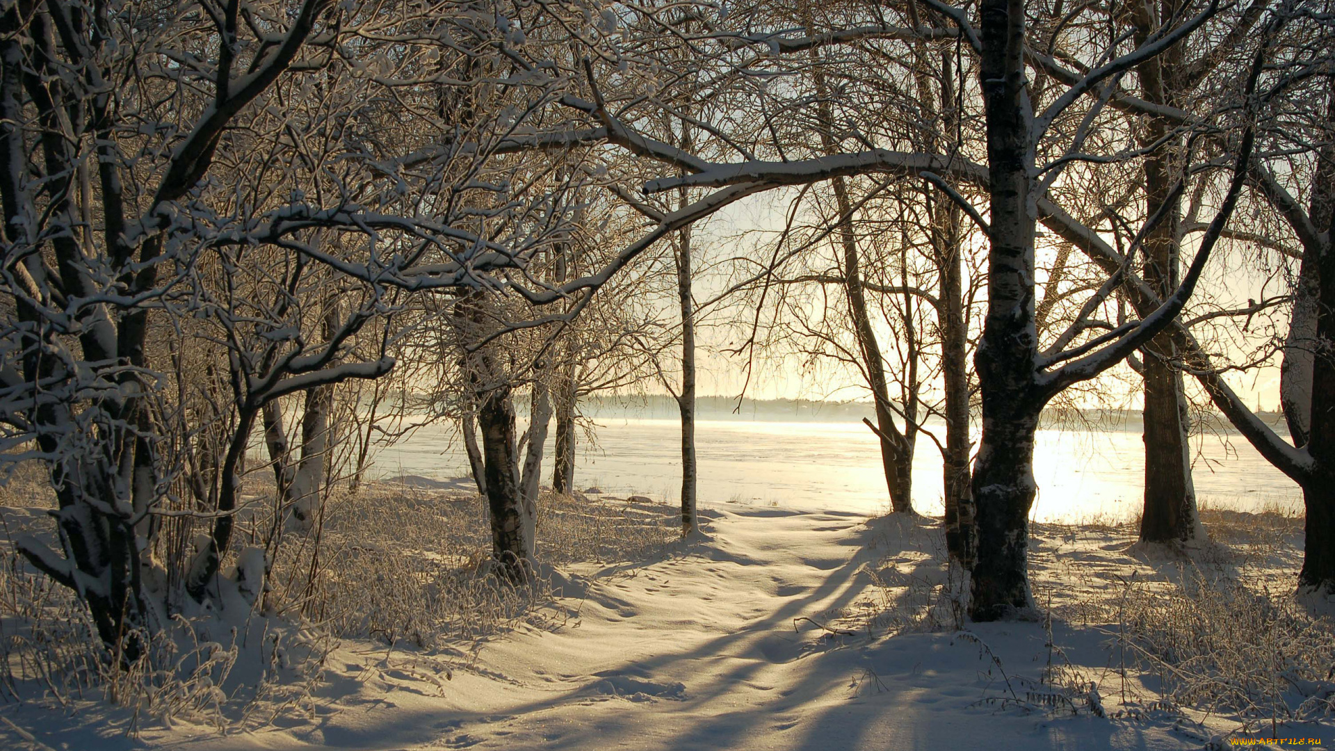 природа, зима, лес, снег