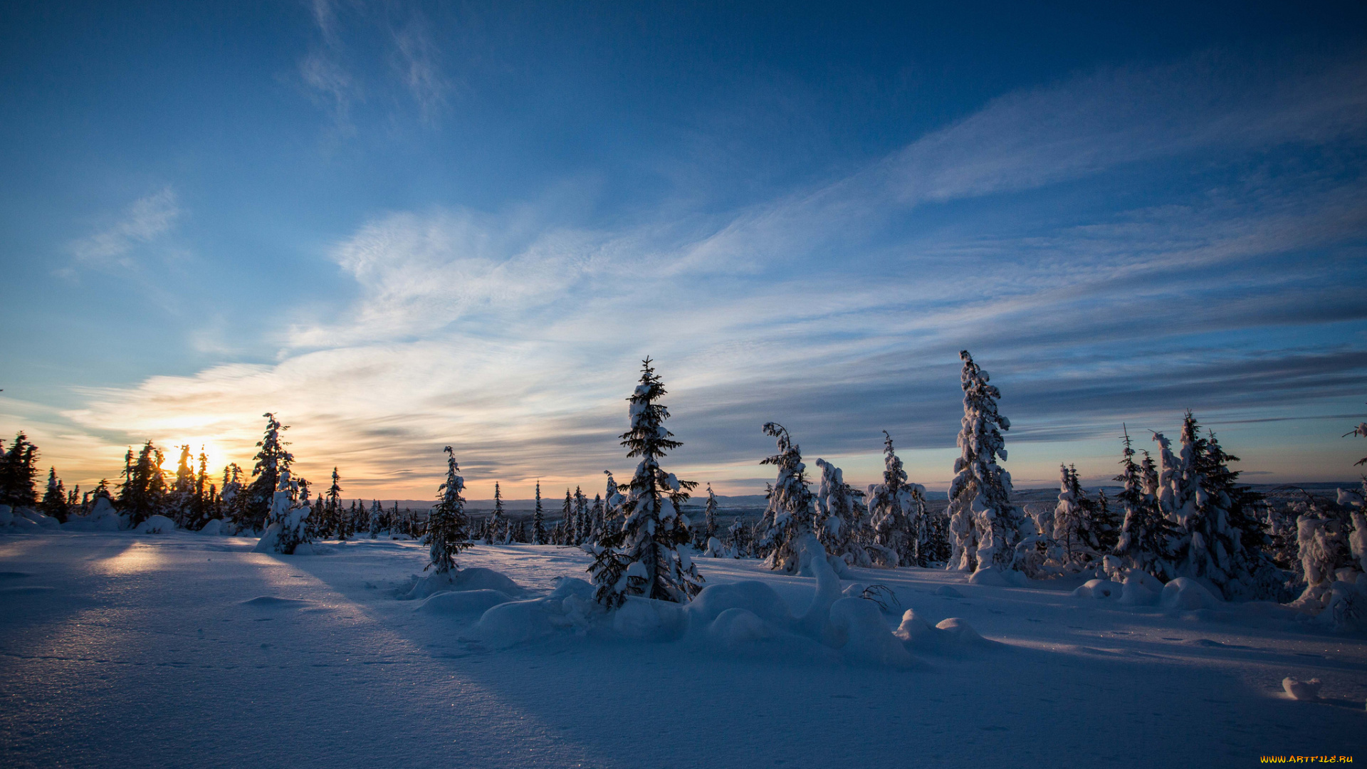 природа, зима, снег, ели, закат, небо, облака, лучи, вечеч