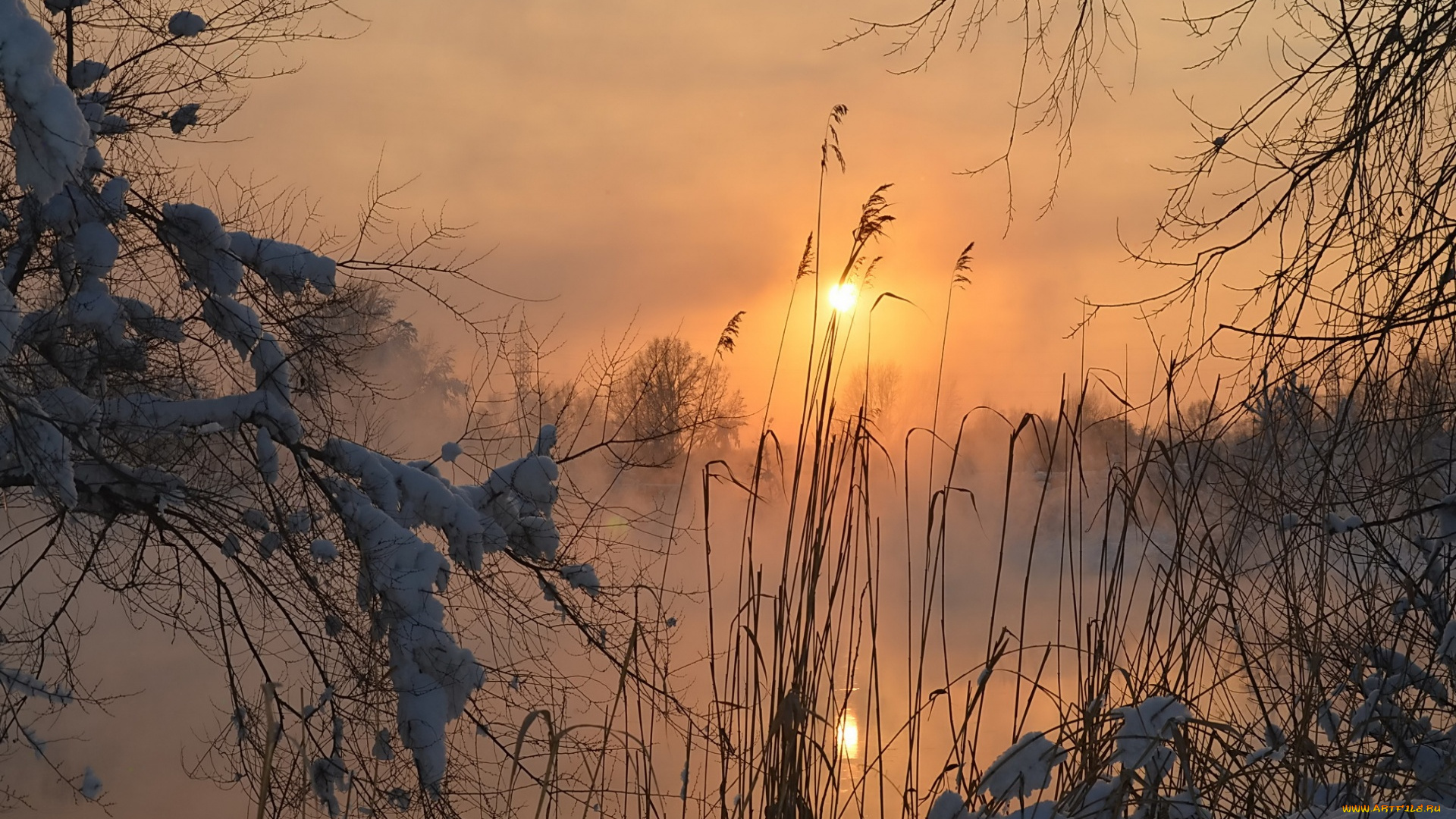 природа, зима, вечер, солнце, снег, лес