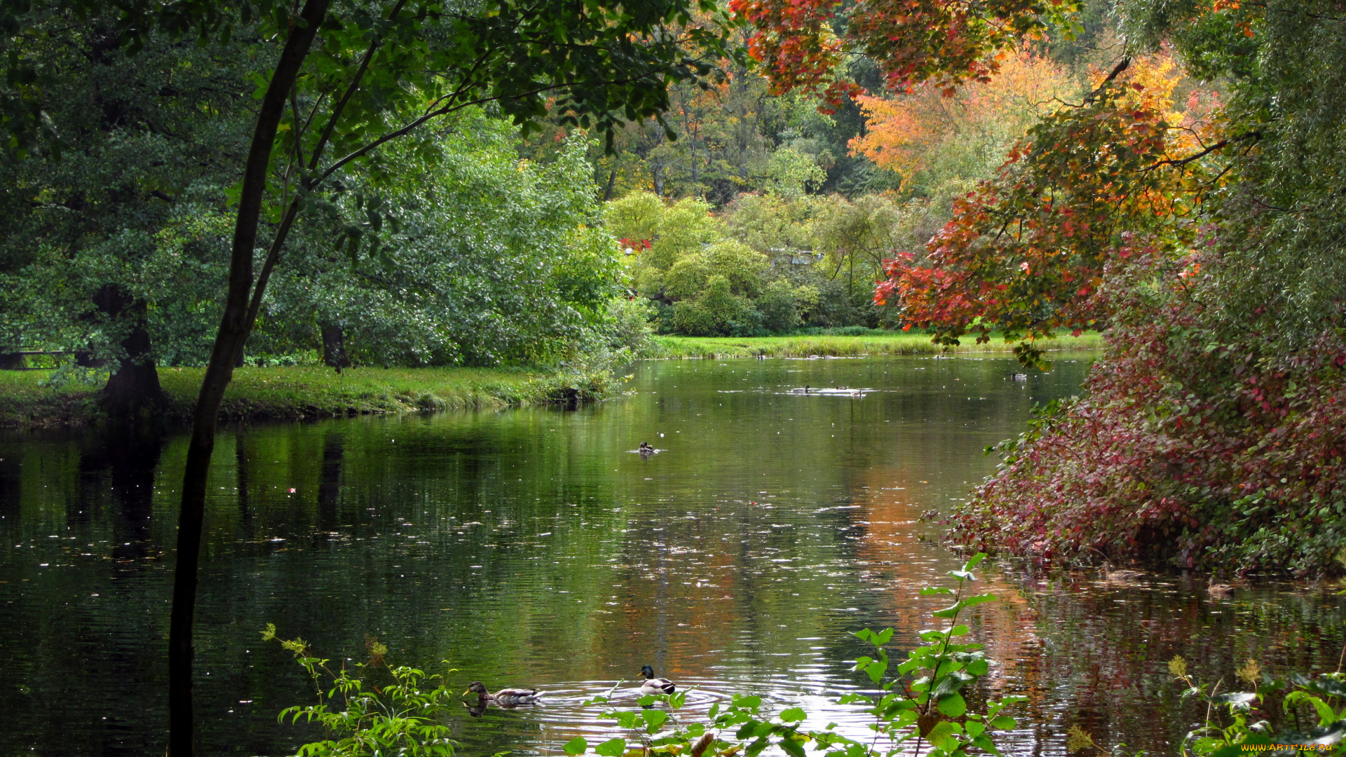 санкт, петербург, елагин, остров, природа, реки, озера, парк, река