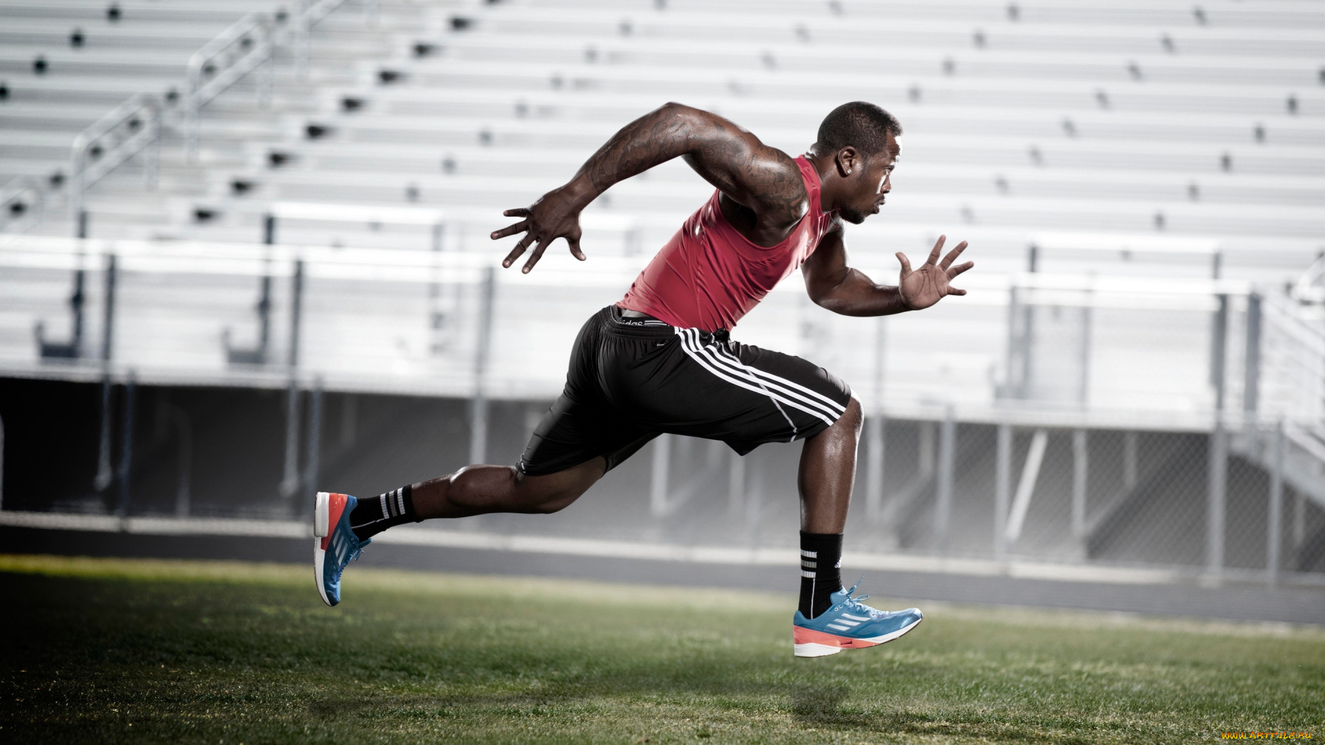 спорт, бег, von, miller, бегун, adidas, адидас, газон, стадион