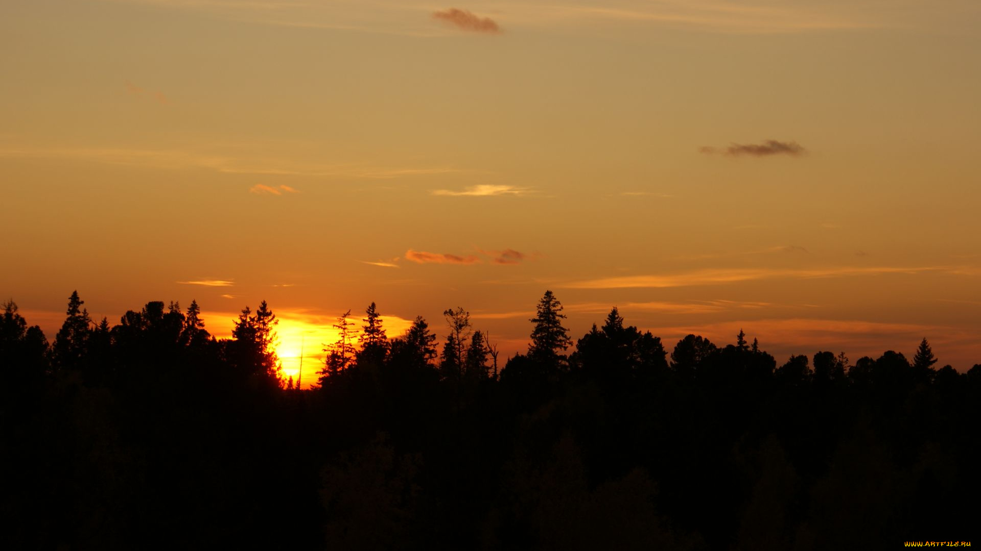 закат, природа, восходы, закаты, небо, лес, нижневартовск