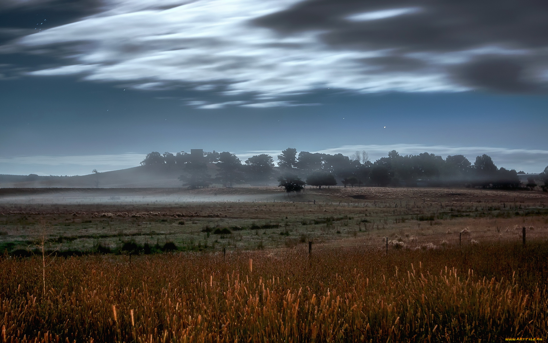 природа, поля, деревья, туман, луг, облака