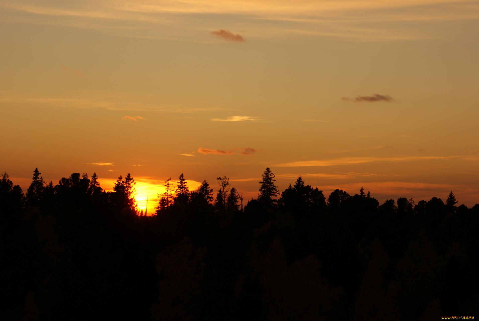 закат, природа, восходы, закаты, небо, лес, нижневартовск