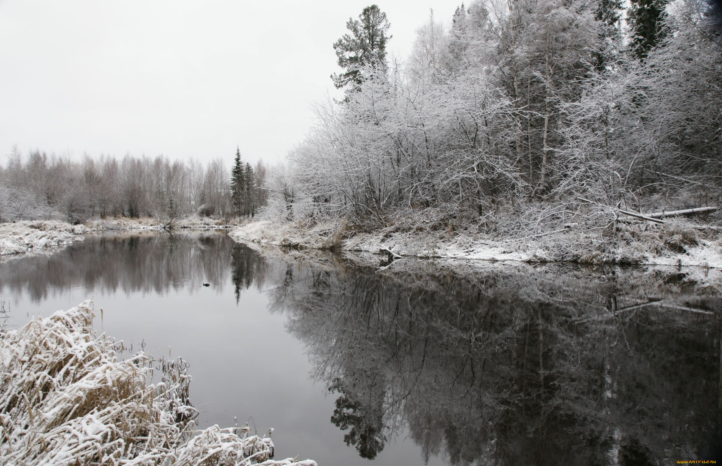 природа, нижневартовска, реки, озера, зима, снег, деревья, река, лес, нижневартовск