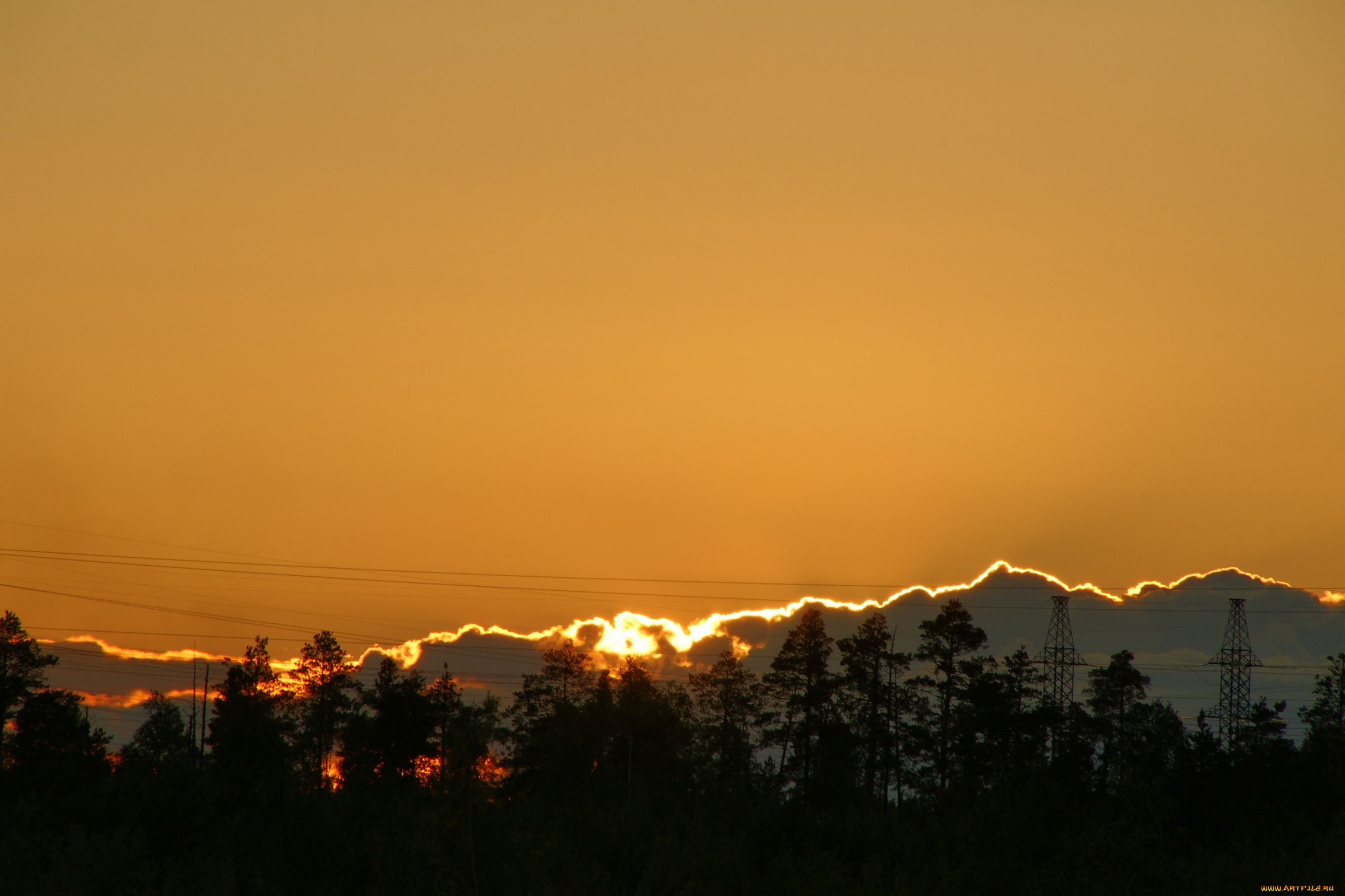 природа, восходы, закаты, провода, деревья, закат, нижневартовск