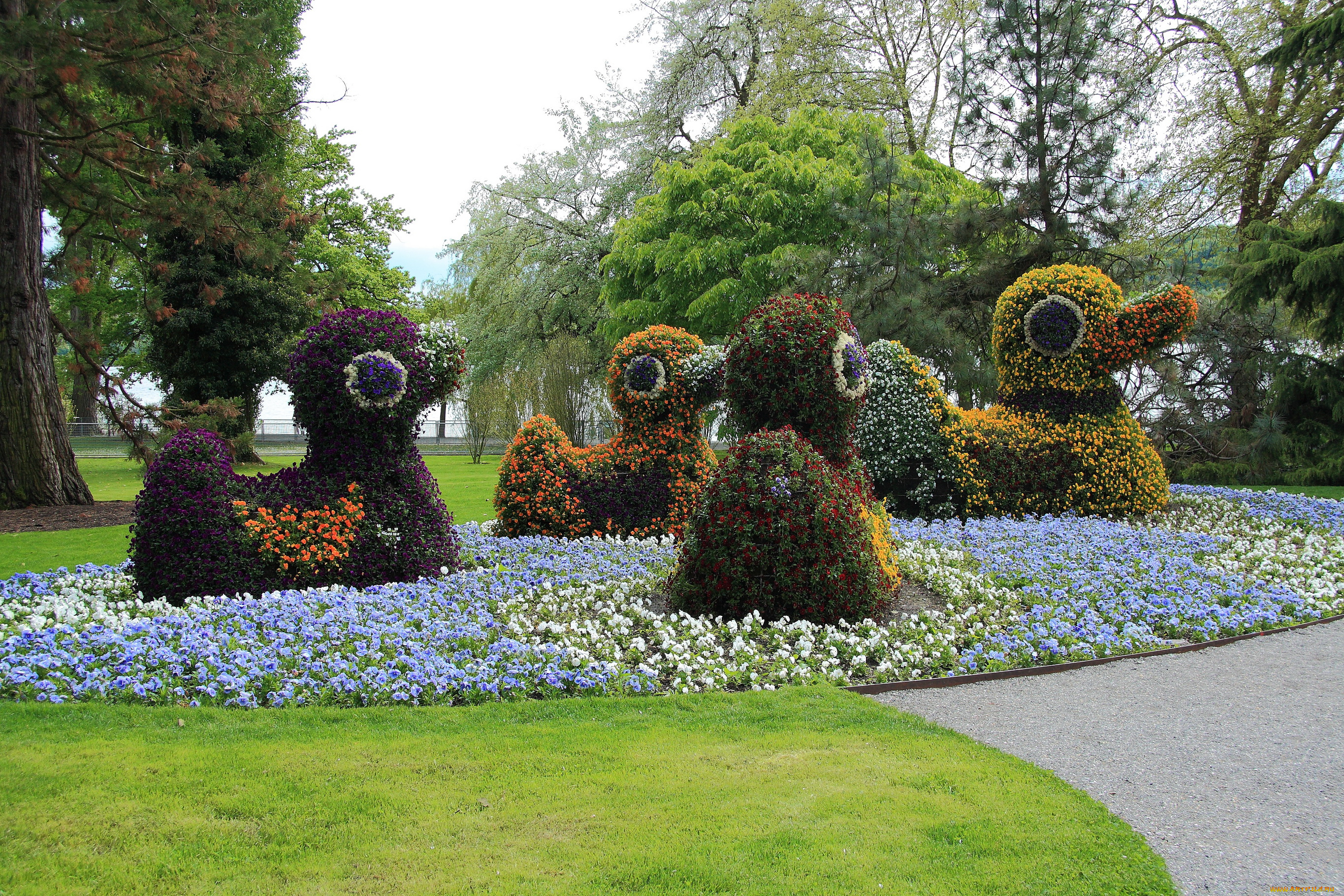 германия, остров, mainau, природа, парк, цветники