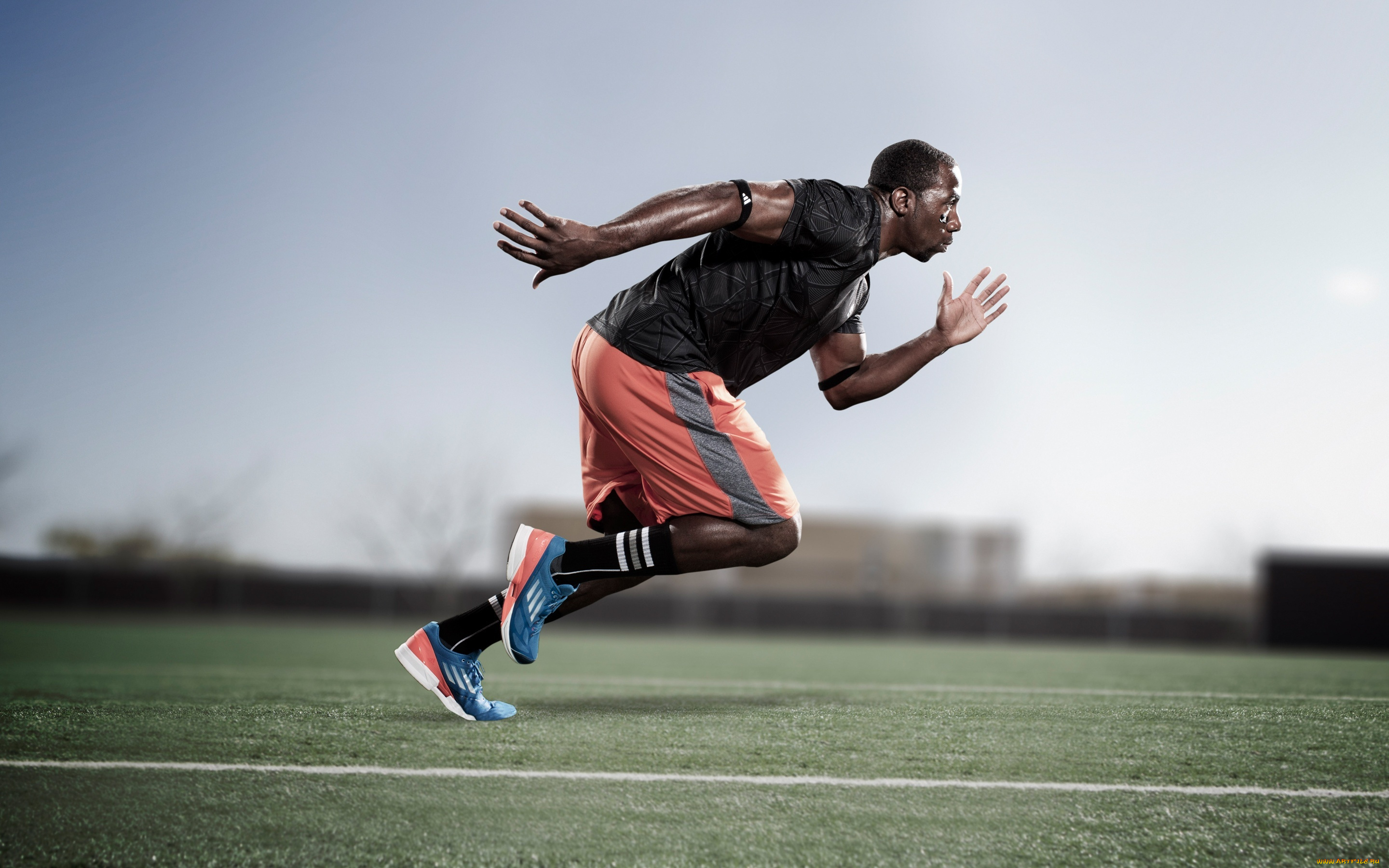 спорт, бег, спринт, Человек, adizero, feather