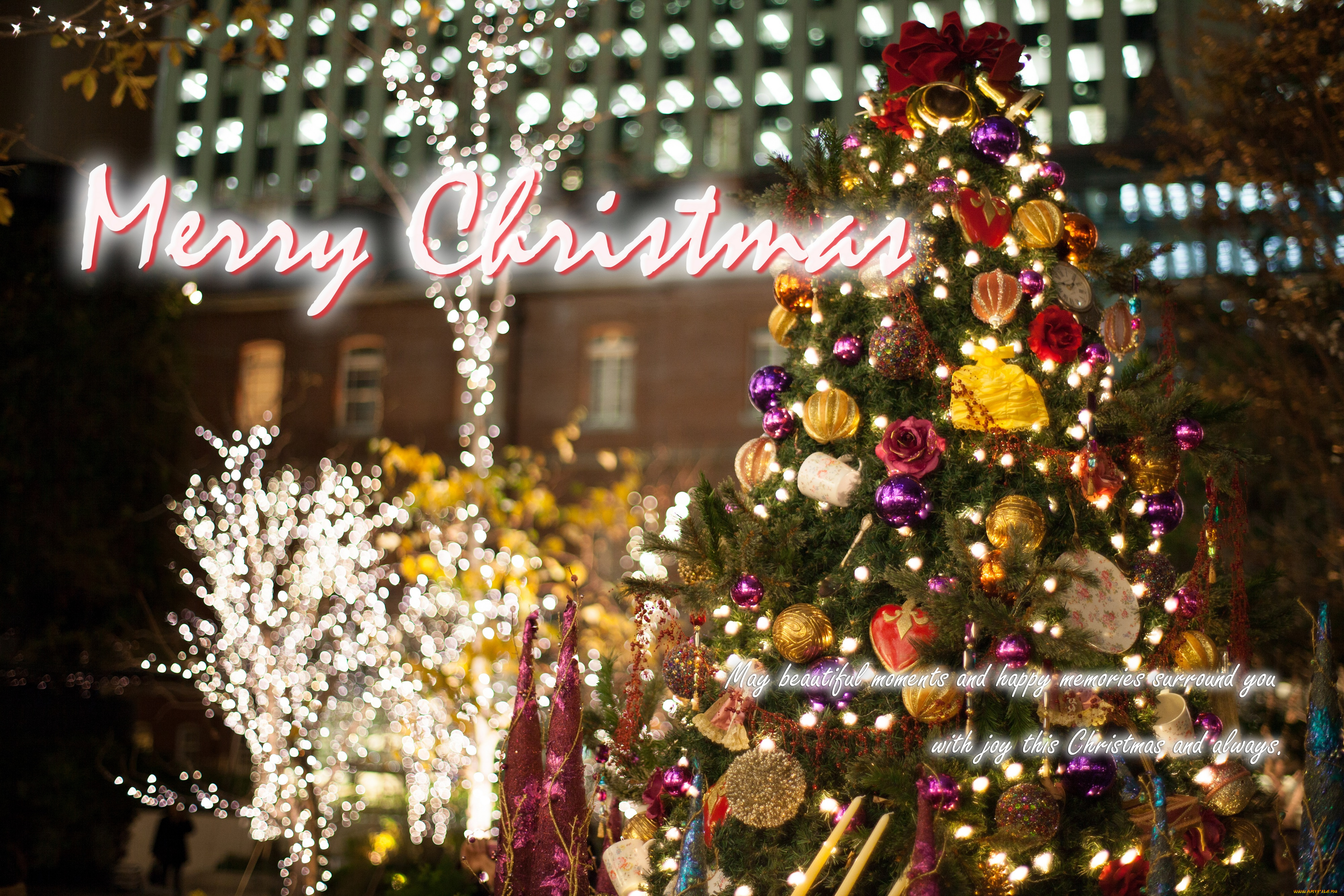 праздничные, Ёлки, праздник