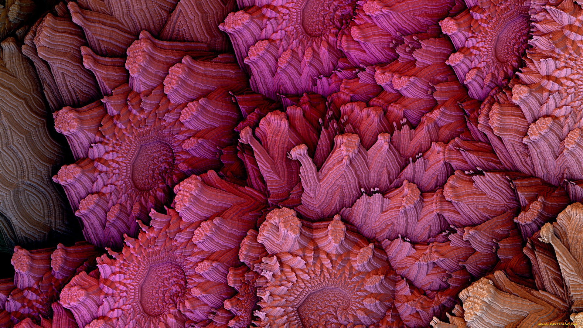 3д, графика, fractal, , фракталы, фон, цвета, узор