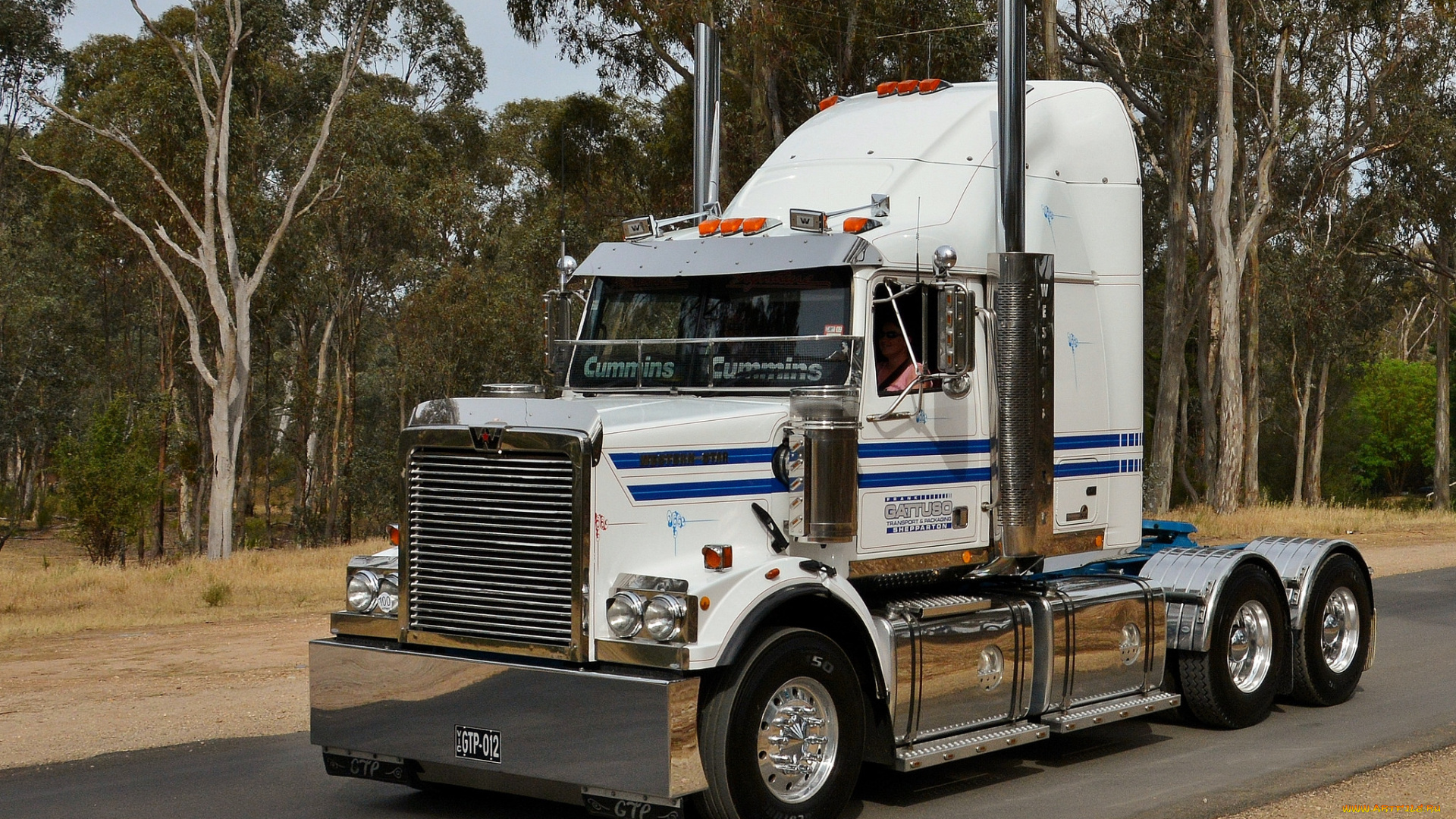 western, star, автомобили, тягач, седельный, грузовик, тяжелый