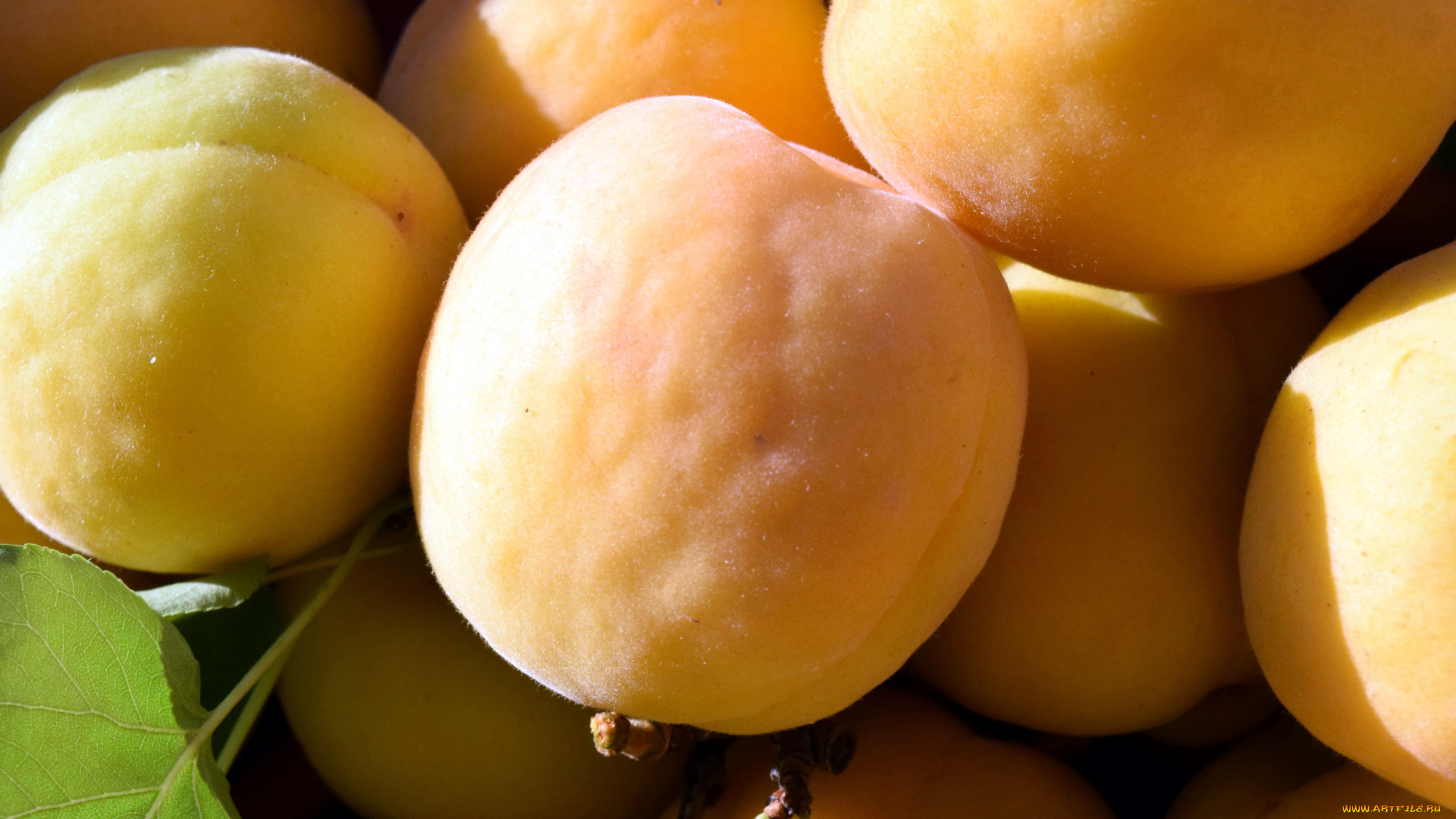 еда, персики, , сливы, , абрикосы