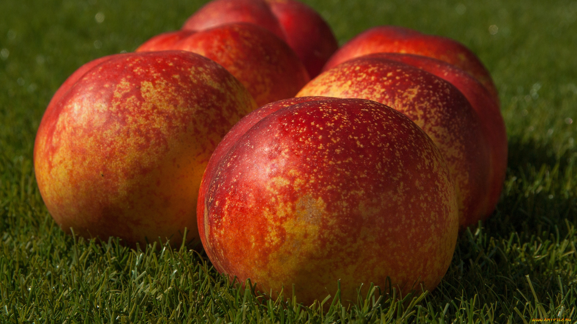 еда, персики, , сливы, , абрикосы, нектарины, трава