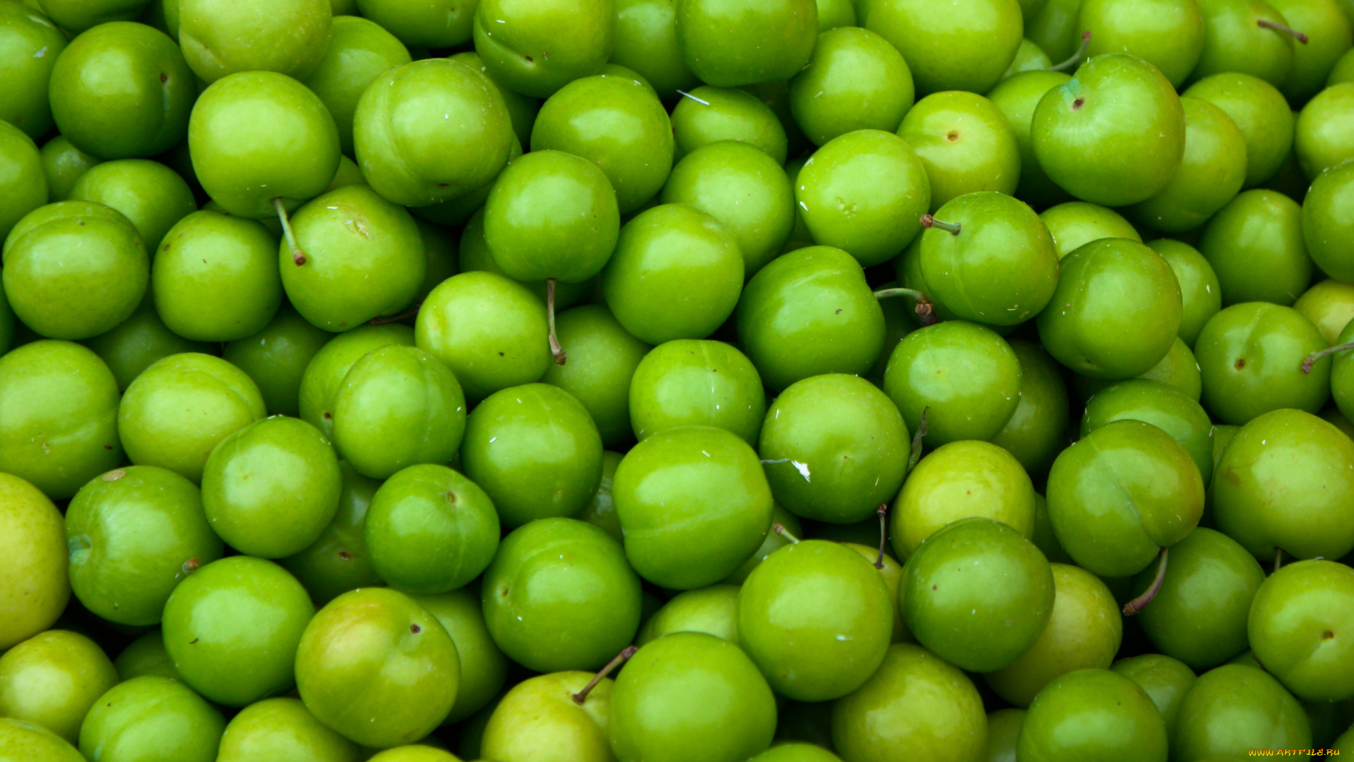 еда, персики, , сливы, , абрикосы, сливы, зеленые, много