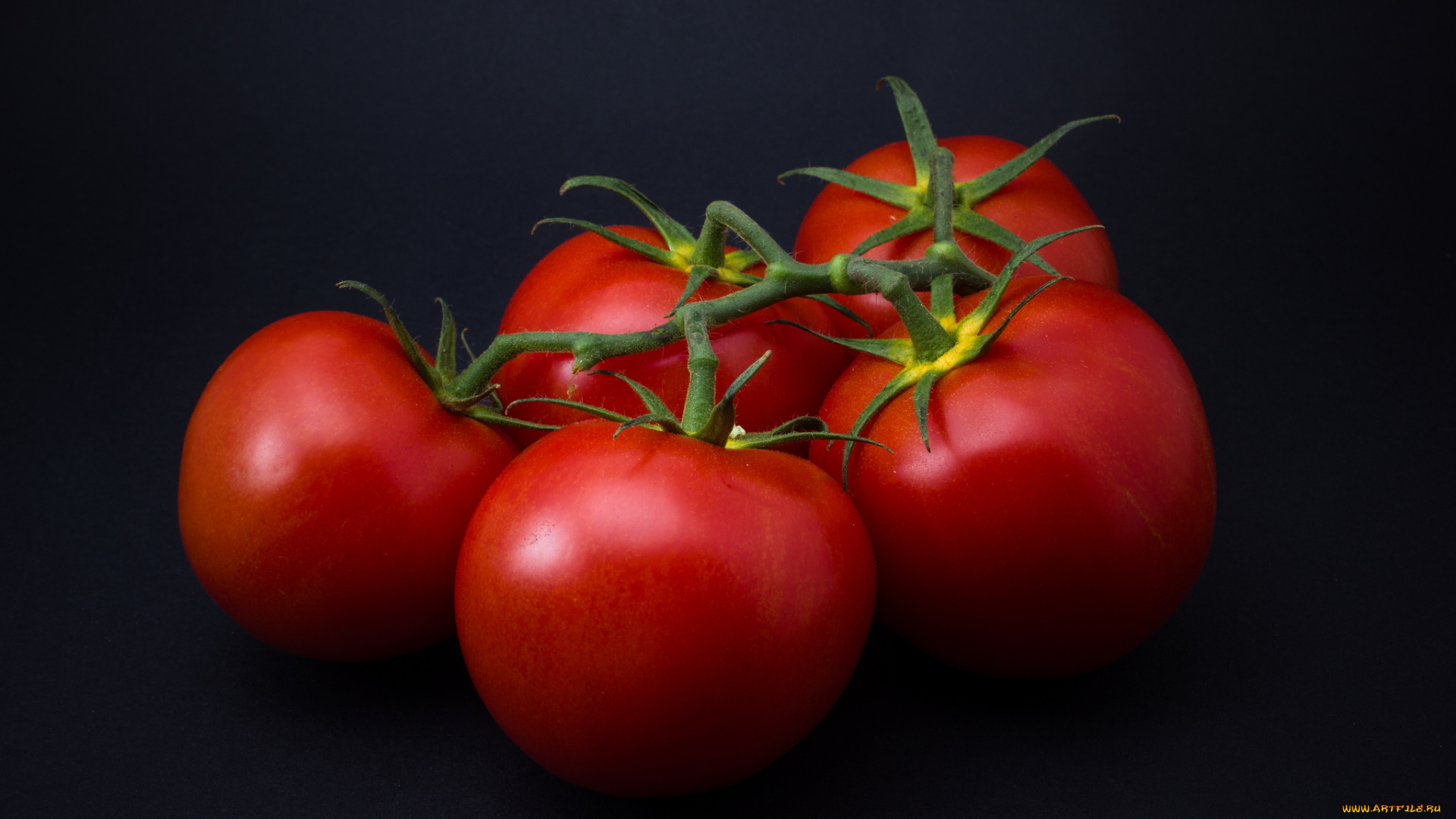 еда, помидоры, томаты