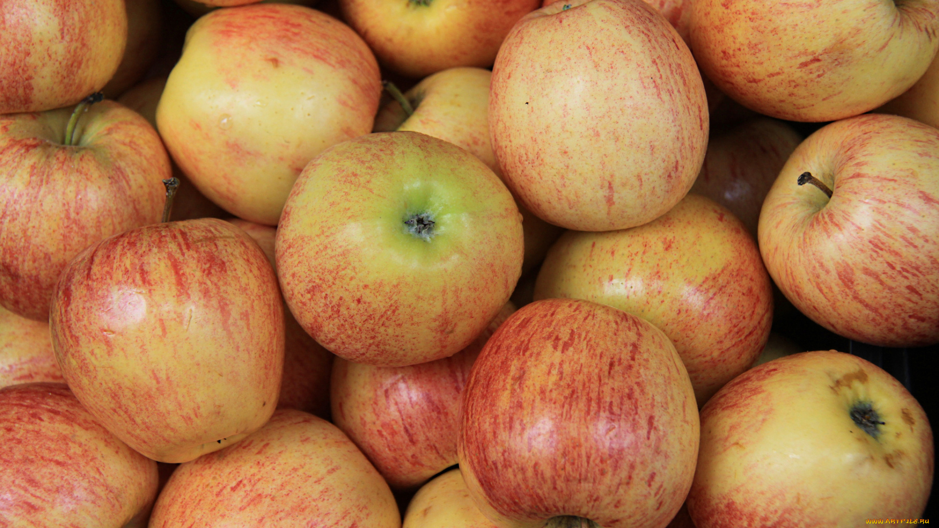 еда, Яблоки, плоды