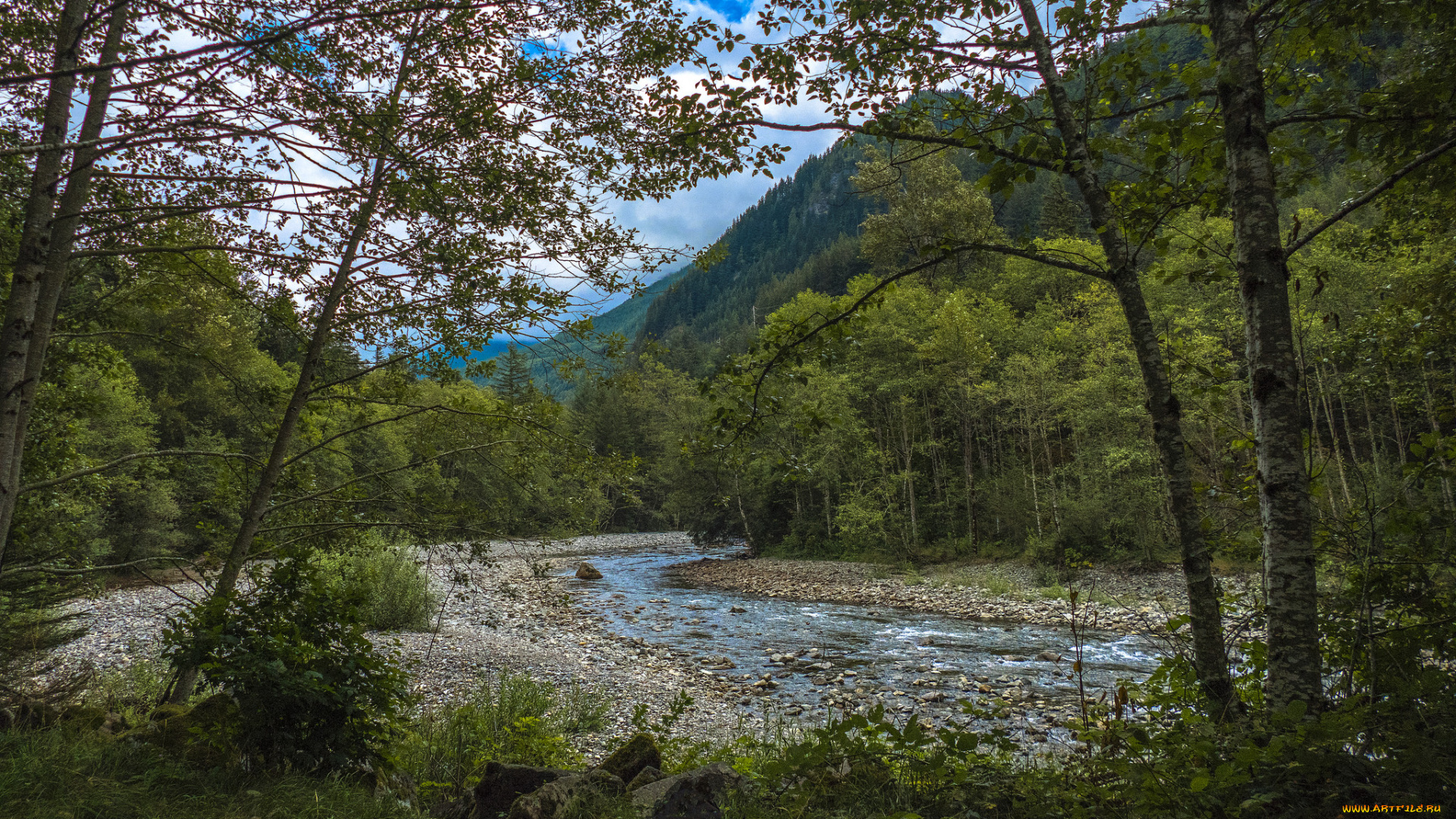 природа, реки, озера, лес, река
