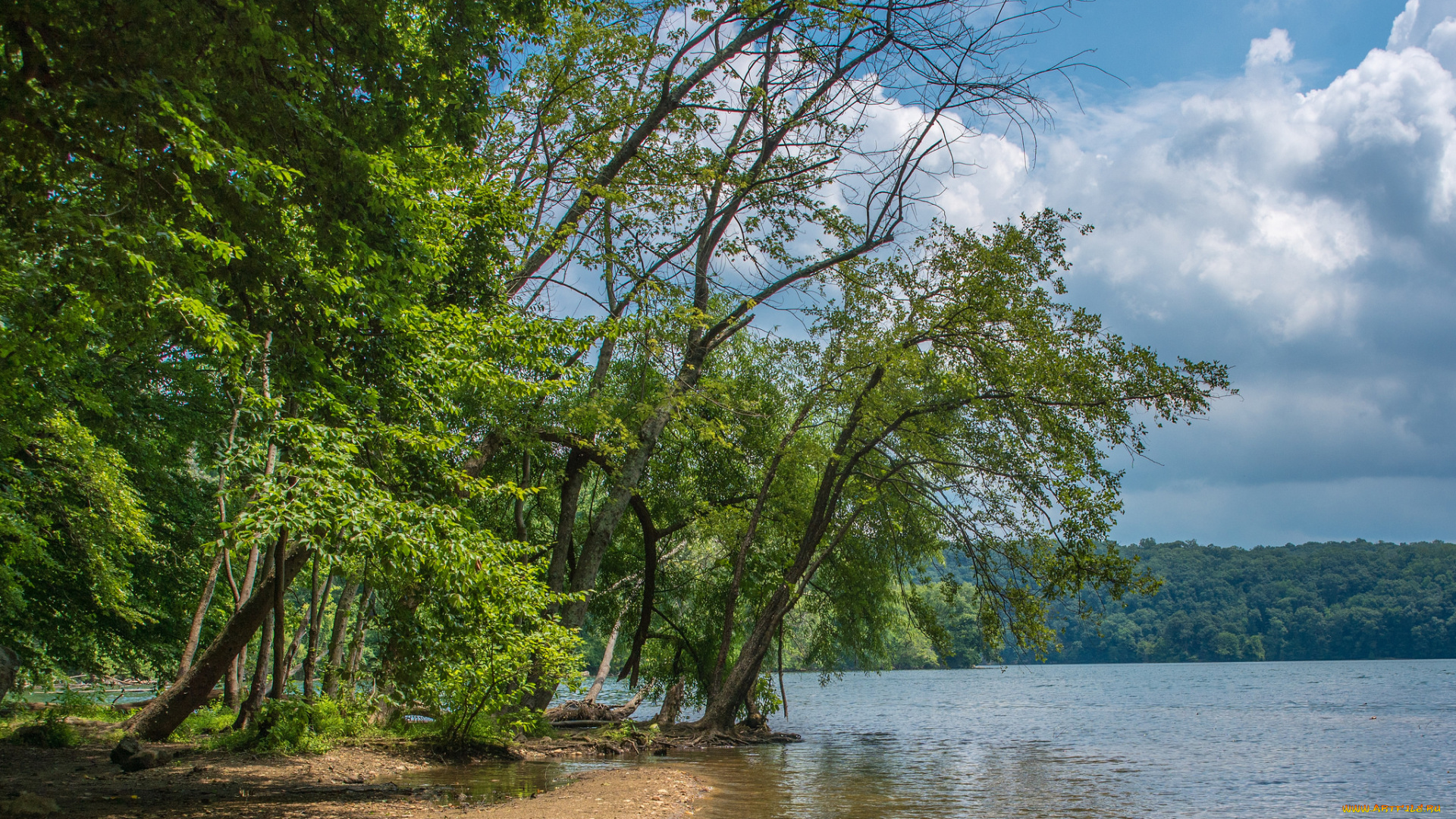 природа, реки, озера, лес, река