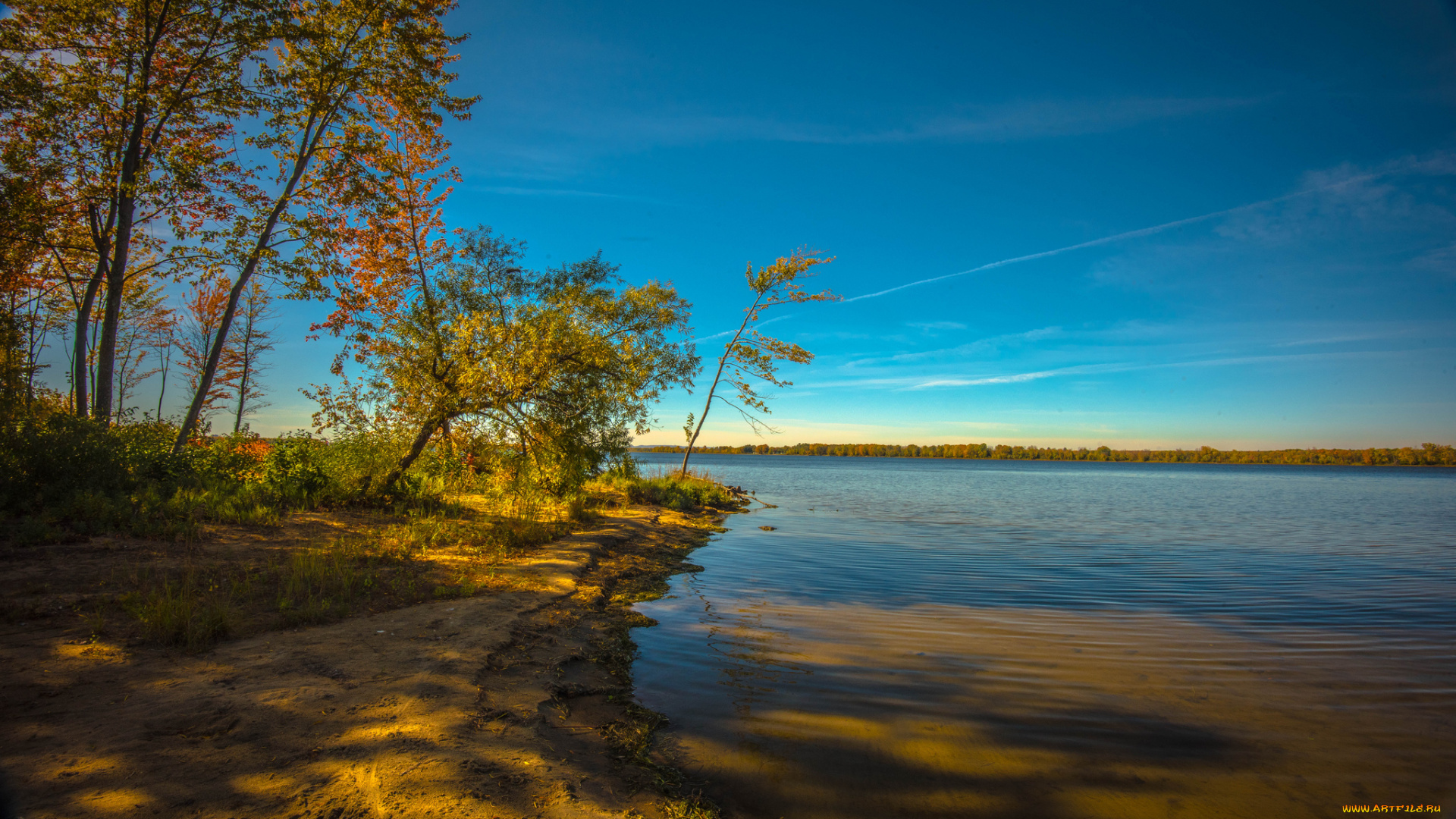 природа, реки, озера, лес, река