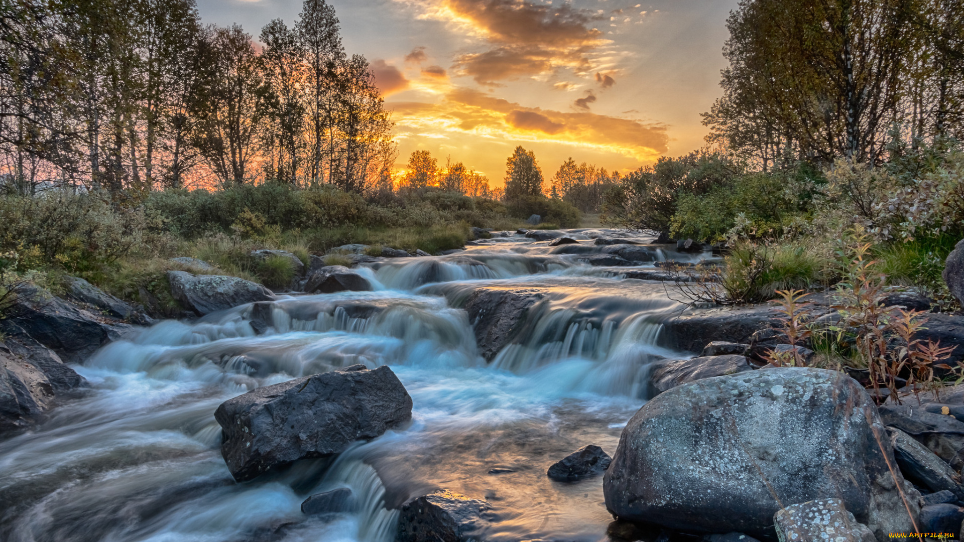 природа, реки, озера, лес, река