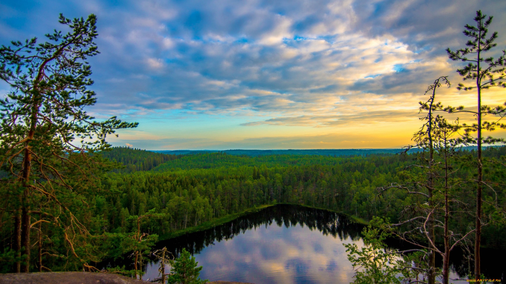природа, реки, озера, река, лес