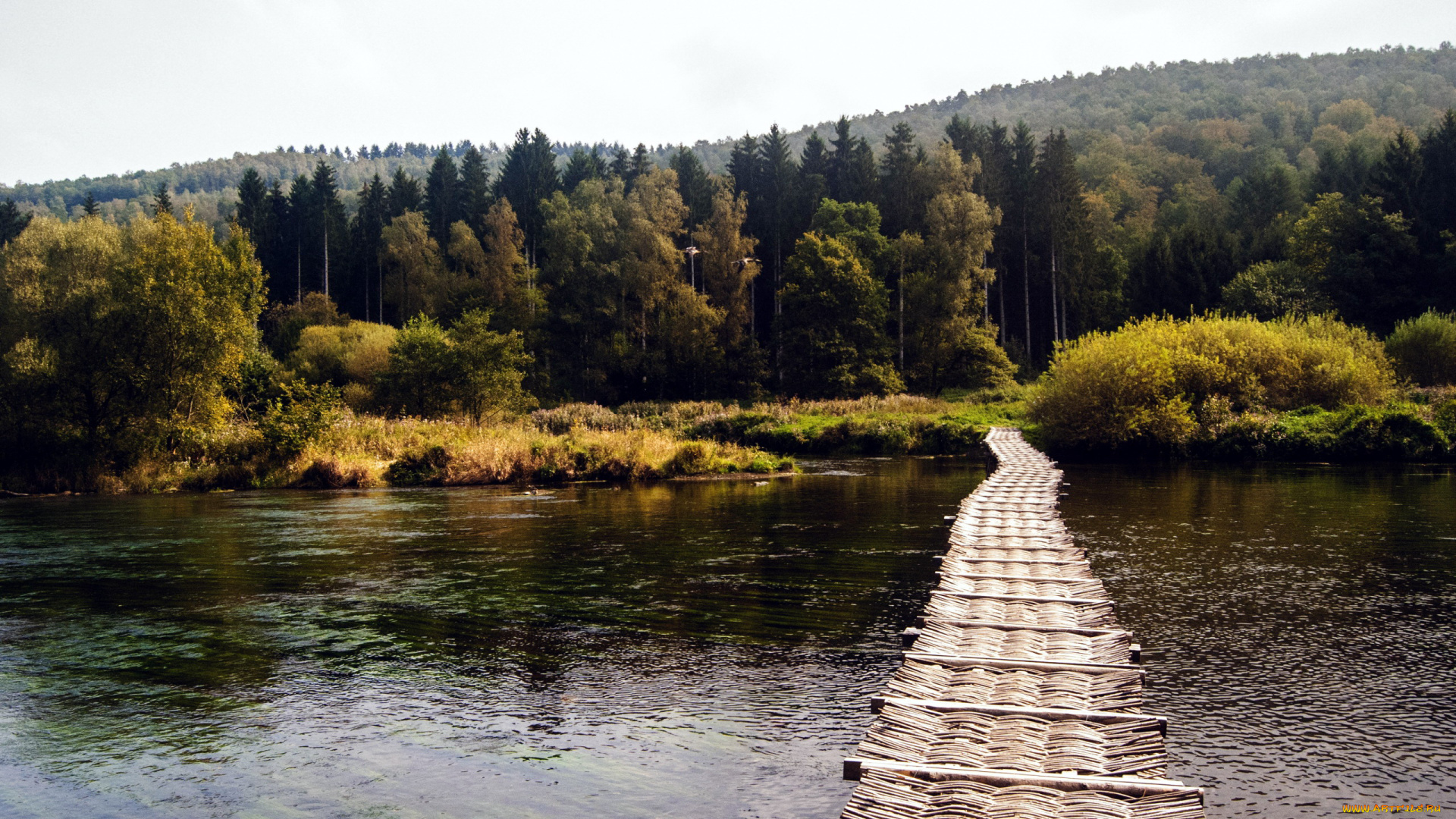 природа, реки, озера, вода, мост, деревья
