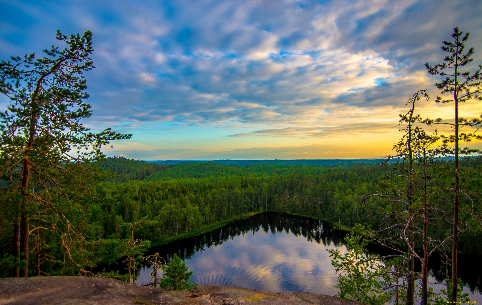 природа, реки, озера, река, лес