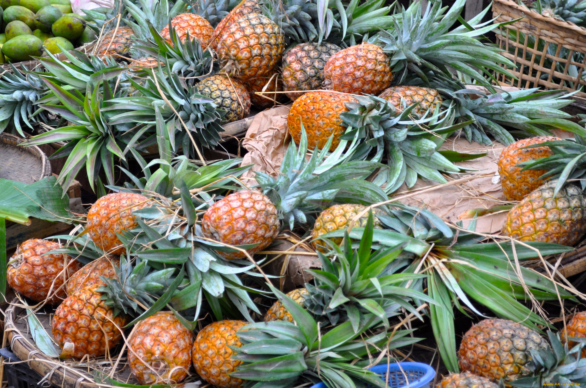 еда, ананас, плоды