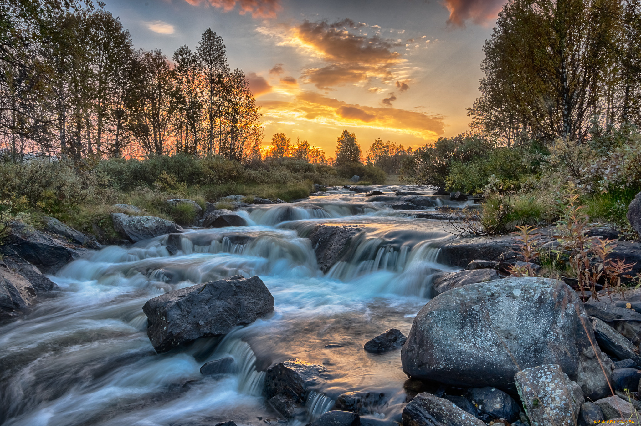 природа, реки, озера, лес, река