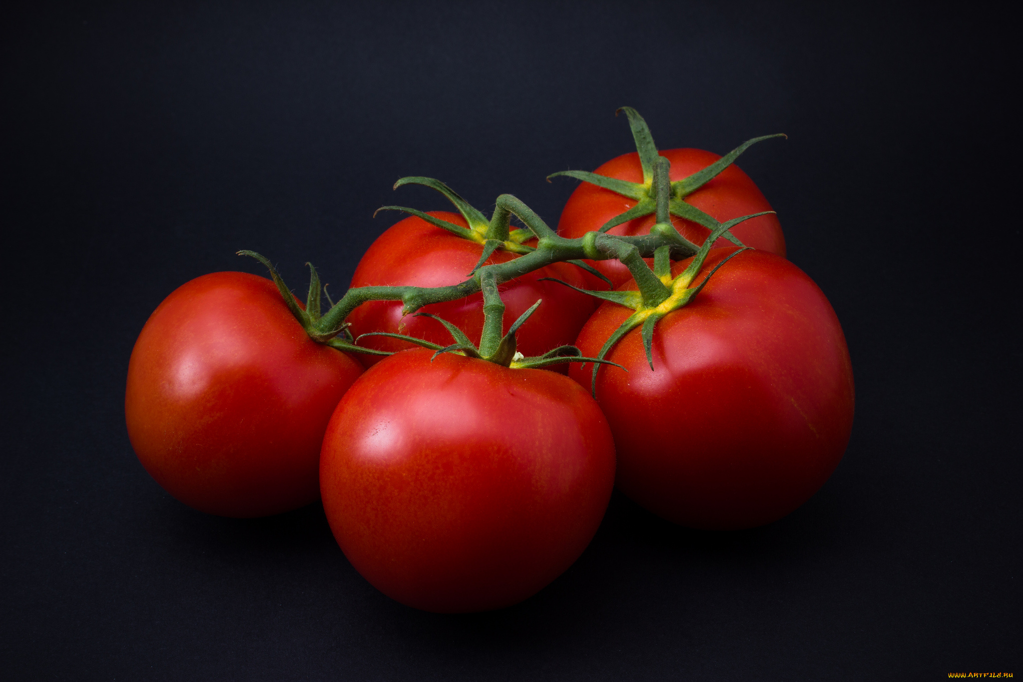 еда, помидоры, томаты